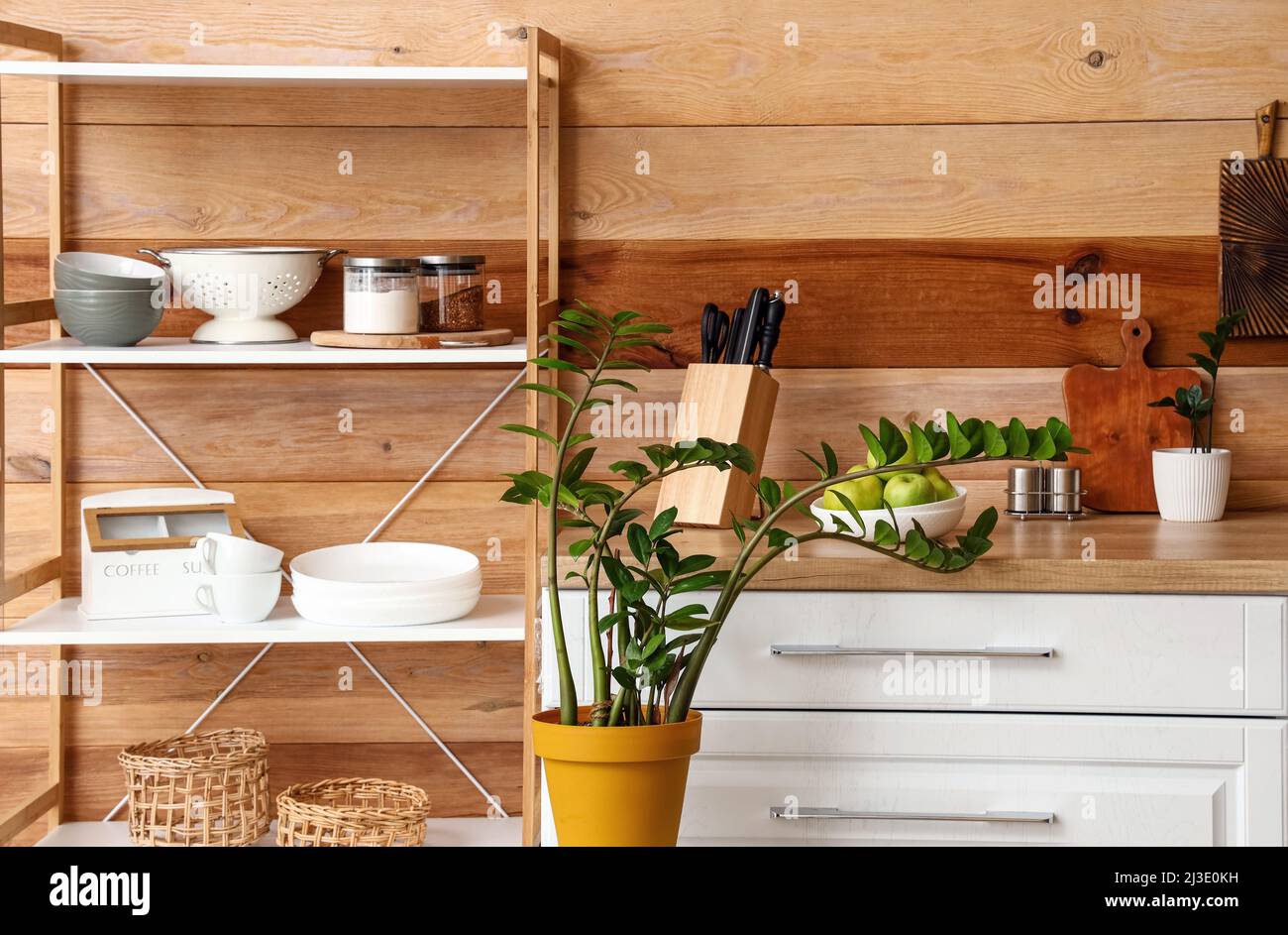Modern shelving unit with dishware, counter and houseplant near wooden