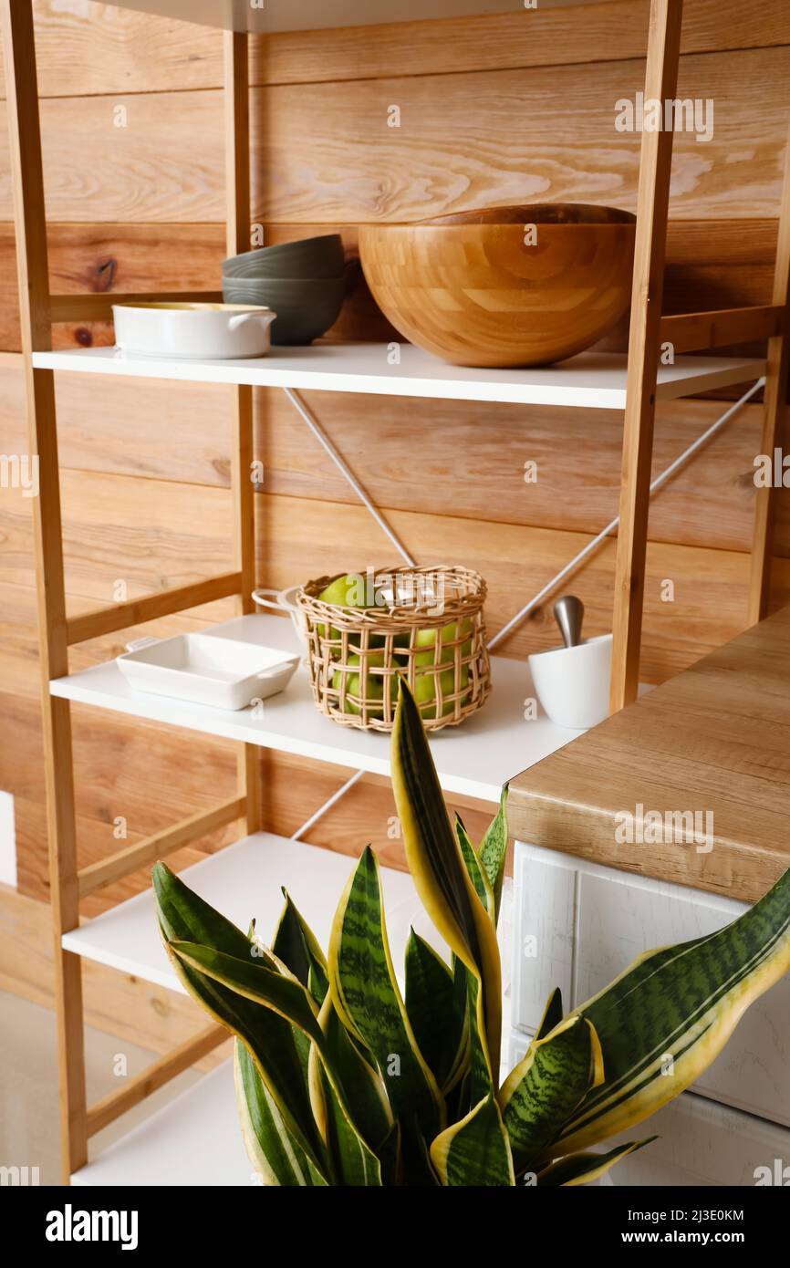 Modern shelving unit with dishware near wooden wall in kitchen Stock