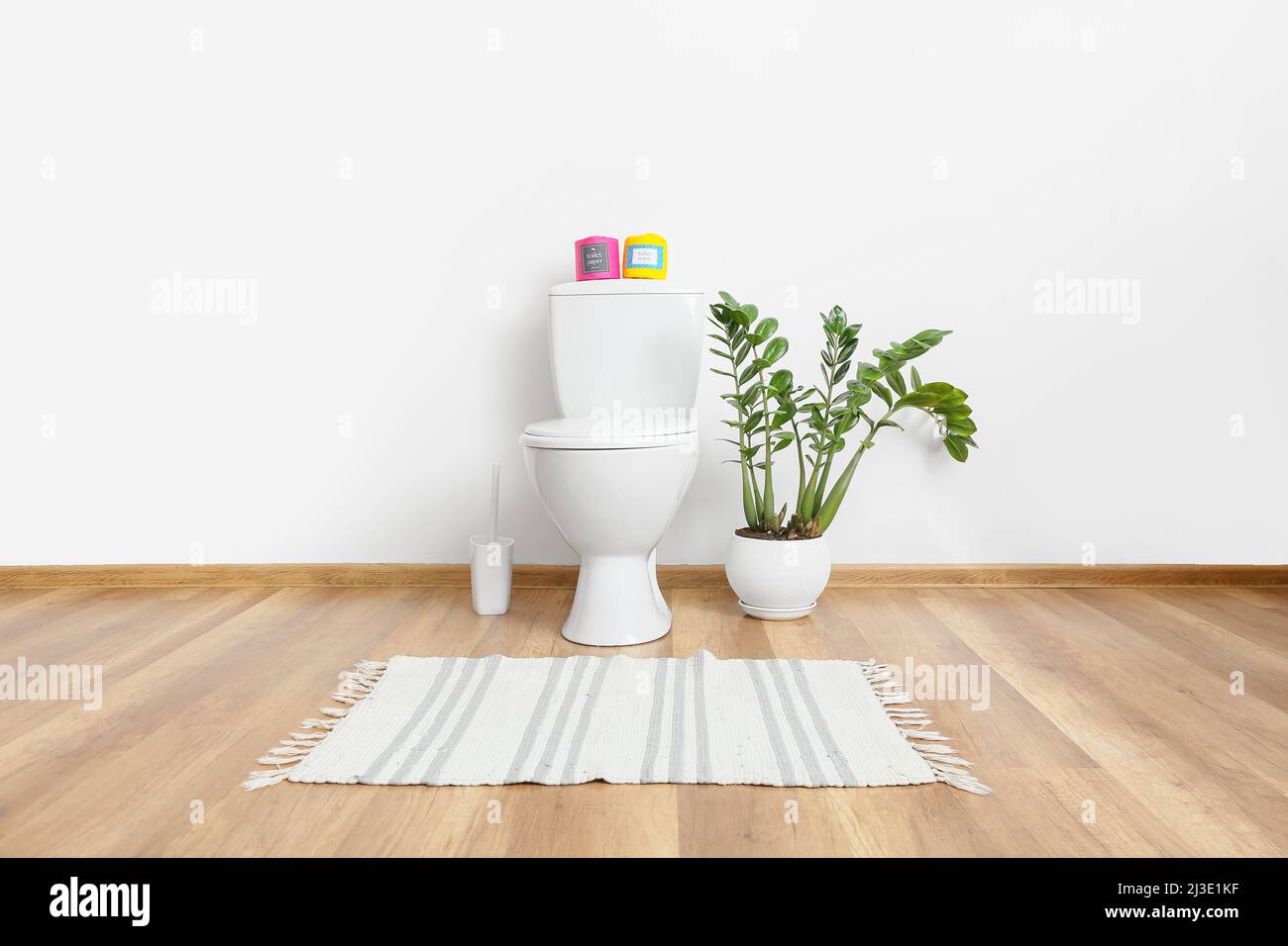 Paper rolls on toilet bowl and houseplant in interior of stylish