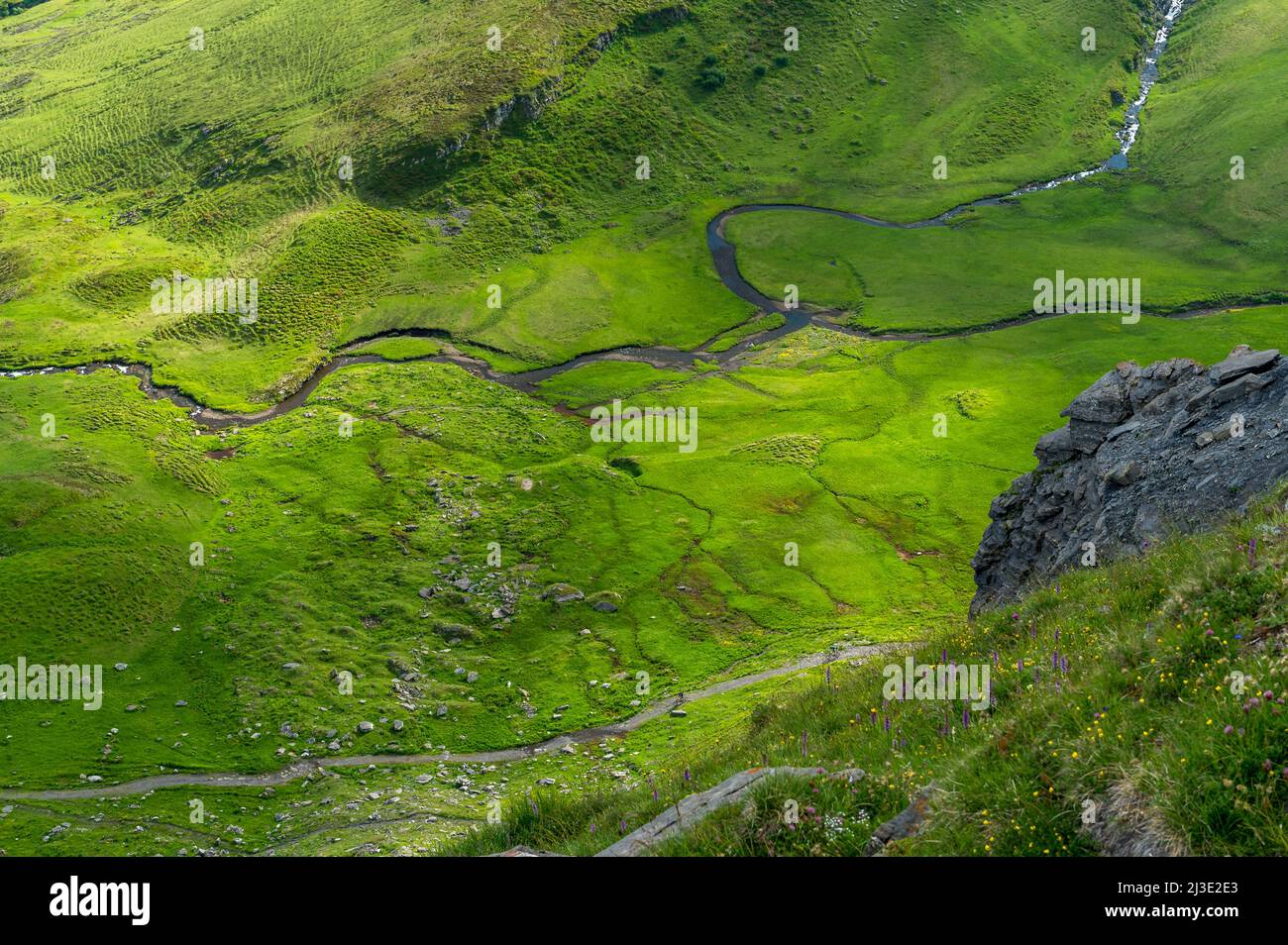 a meandering free flowing mountain creek in Grindelwald Stock Photo
