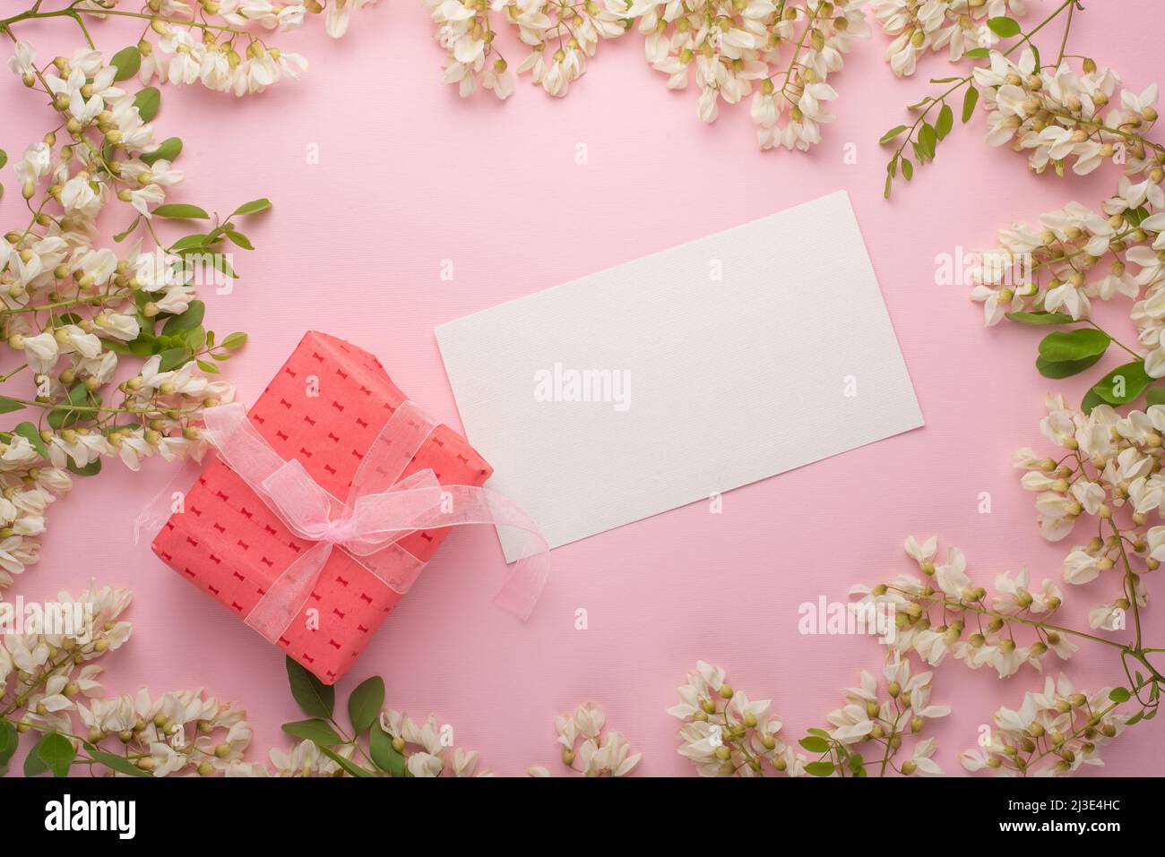 Spring floral background with gift, texture and wallpaper. Flat white flower flowers on a light pink background, top view, copy space. Festive greetin Stock Photo