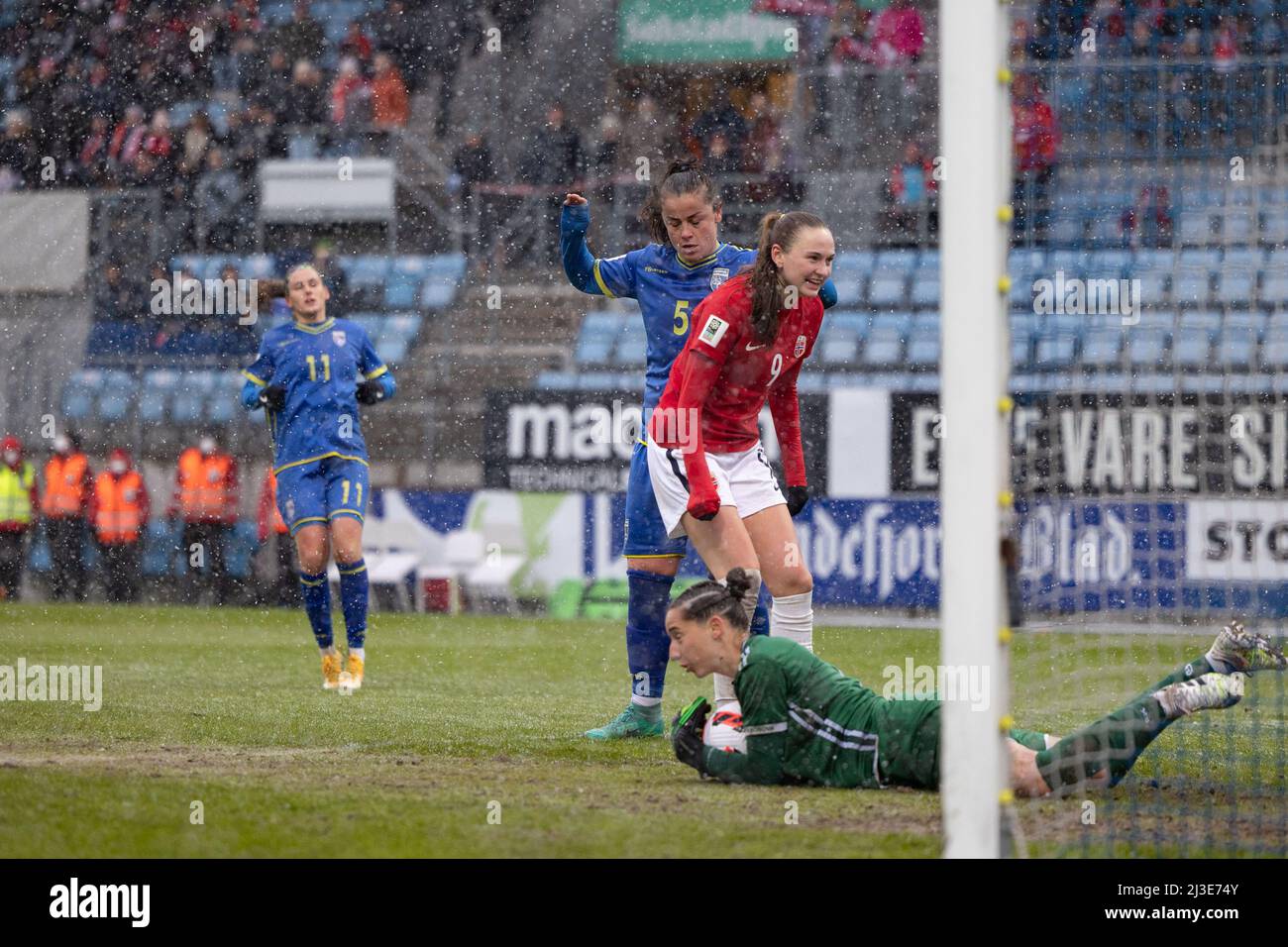 Vilde hasund hi-res stock photography and images - Alamy