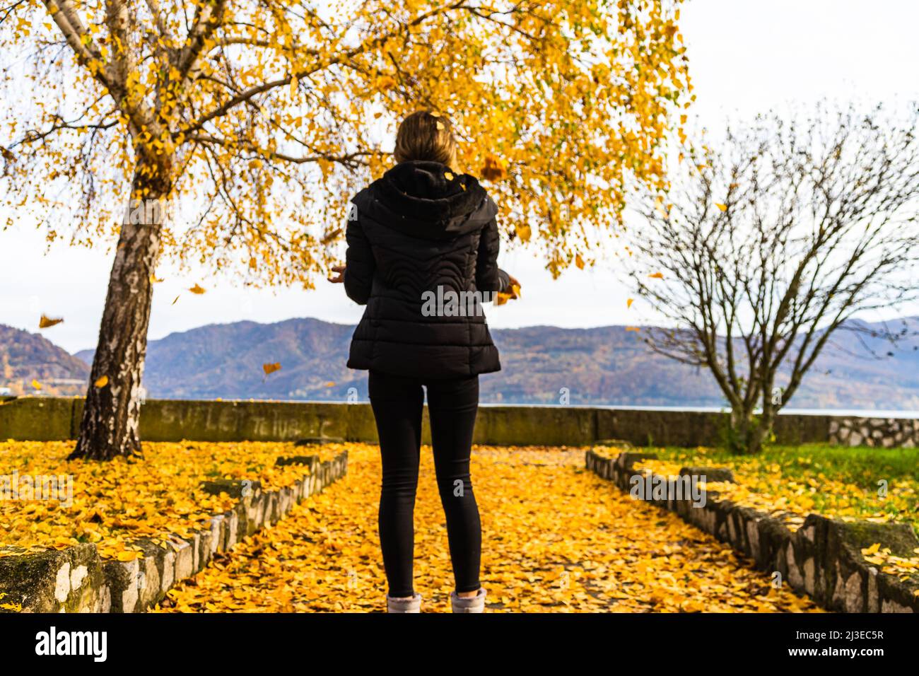 Autumn leaves fallen on alone woman walking on the autumn alley. Autumn ...