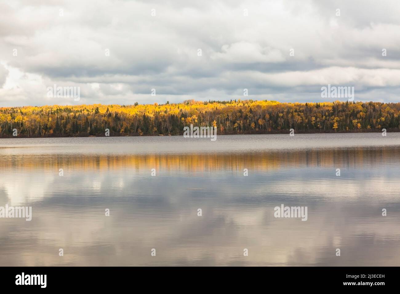 Forest of deciduous and conifer trees on edge of Lac Taureau in autumn