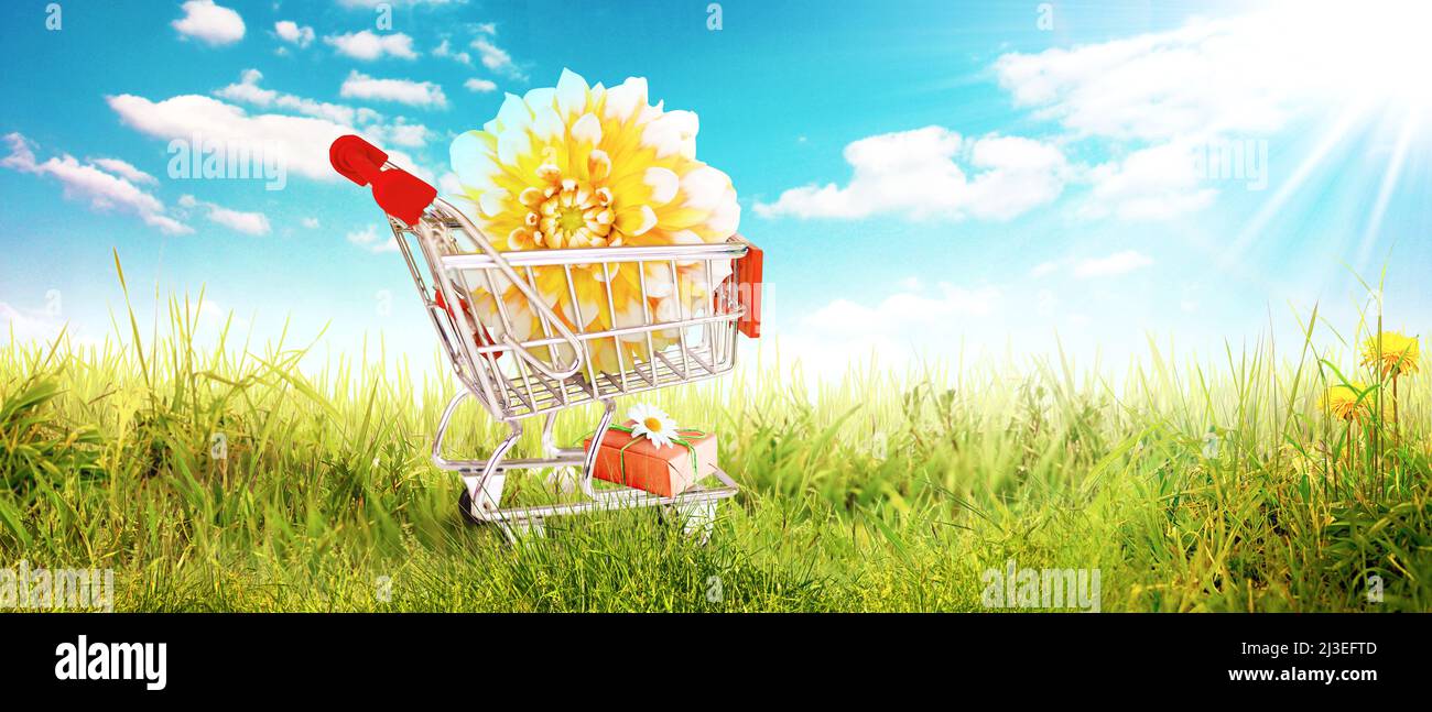 Concept For Flower Delivery, Valentines Day, Mothers Day Or International Womens Day Image446584720