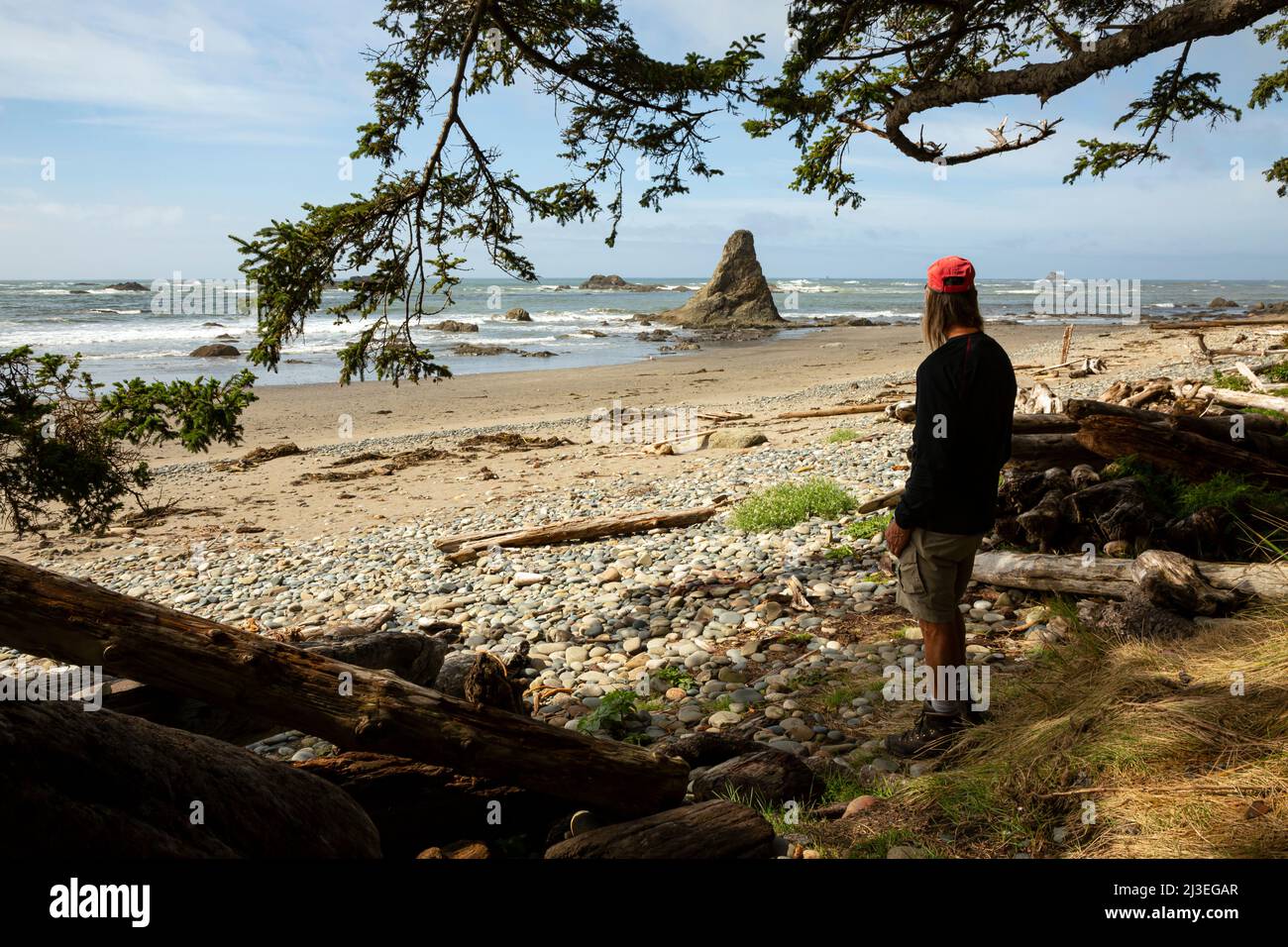 WA21361-00...WASHINGTON - Hiker at Cedar Creek overlooking the Pacific Ocean on the wilderness coast section of Olympic National Park. Stock Photo