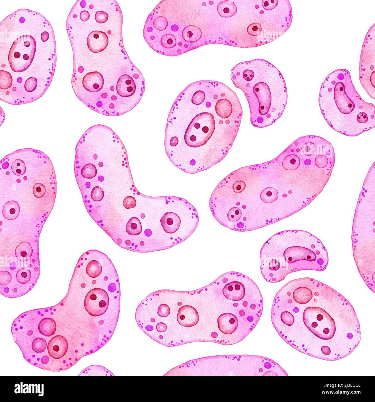 Watercolor seamless pattern of pink purple cells microalgae microorganisms, microscope bio algae. Concept for cosmetics medicine healthcare print design. Pastel ameoba bacteria, soft oval round shape Stock Photo