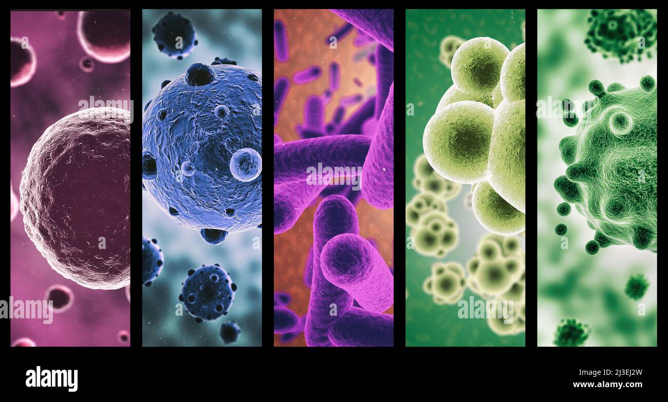Micro organisms hi res stock photography and images Alamy Micro organisms hi res stock photography and images Alamy