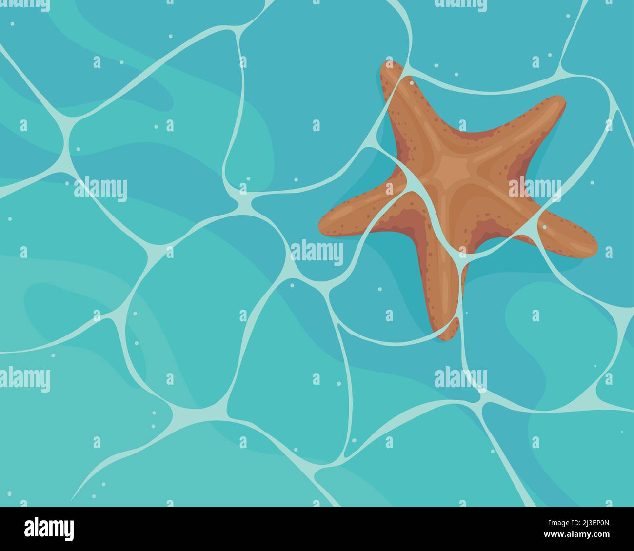 starfish in the sea Stock Vector Image & Art - Alamy