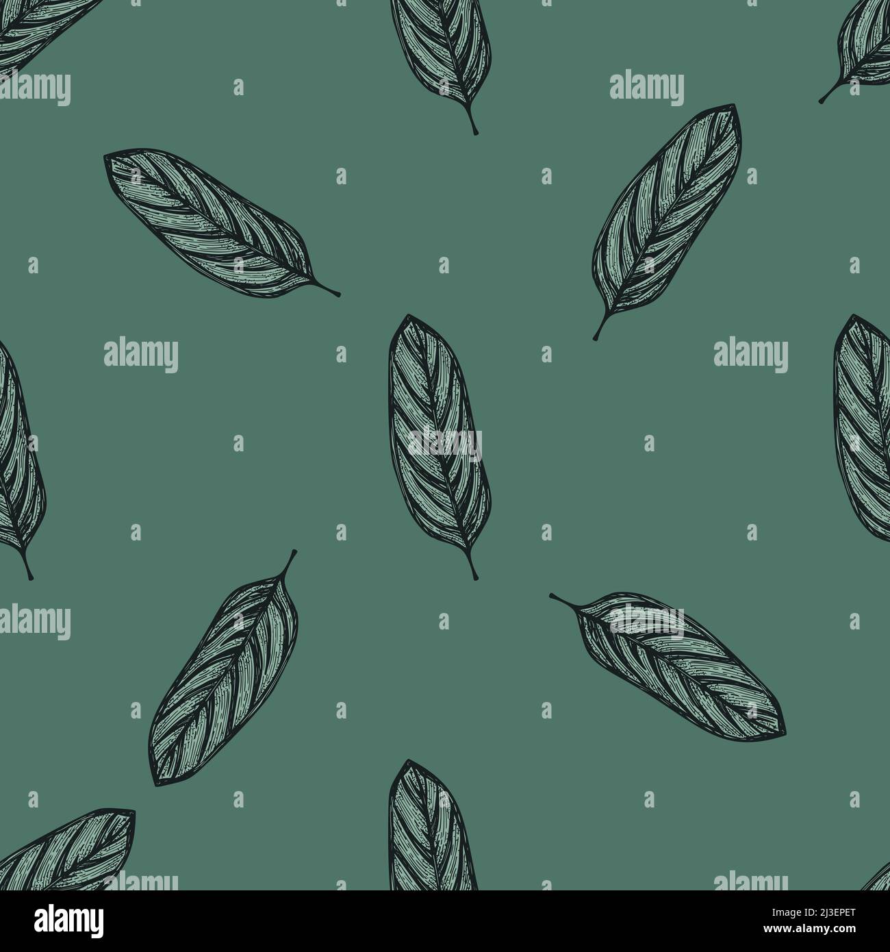 Alocasia leaves seamless pattern.Vintage tropical branch in engraving style. Hand drawn texture foliage for fabric, wallpaper, textile, print, wrappin Stock Vector