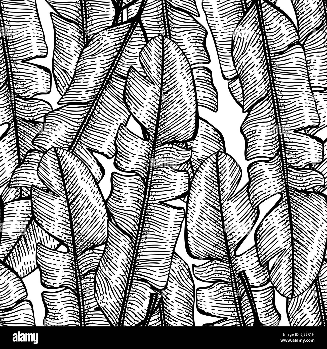 Tropical banana leaf seamless pattern.Jungle leaves background ...