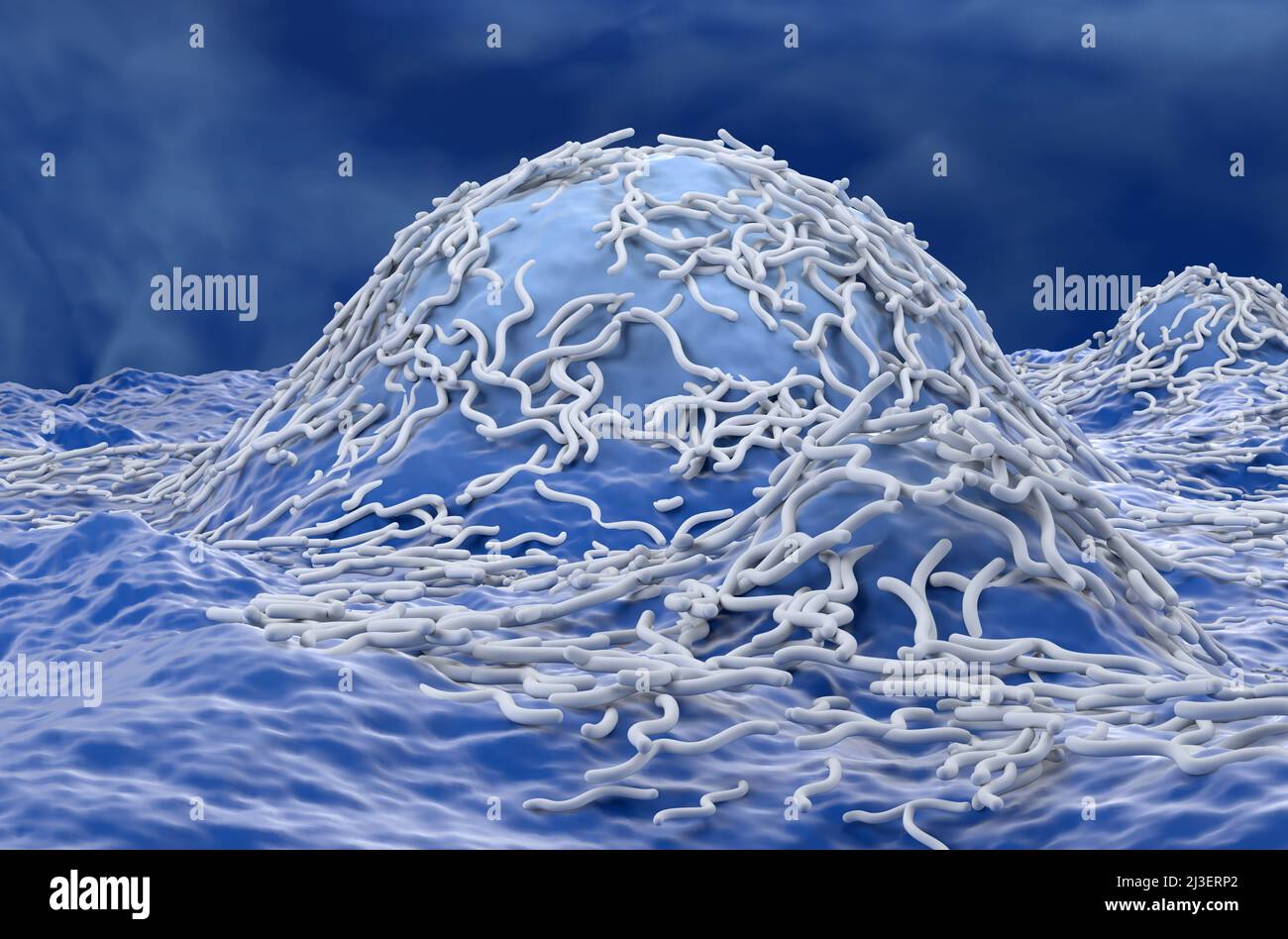 Ependymoma cancer cells (brain tumor) - side view 3d illustration Stock Photo