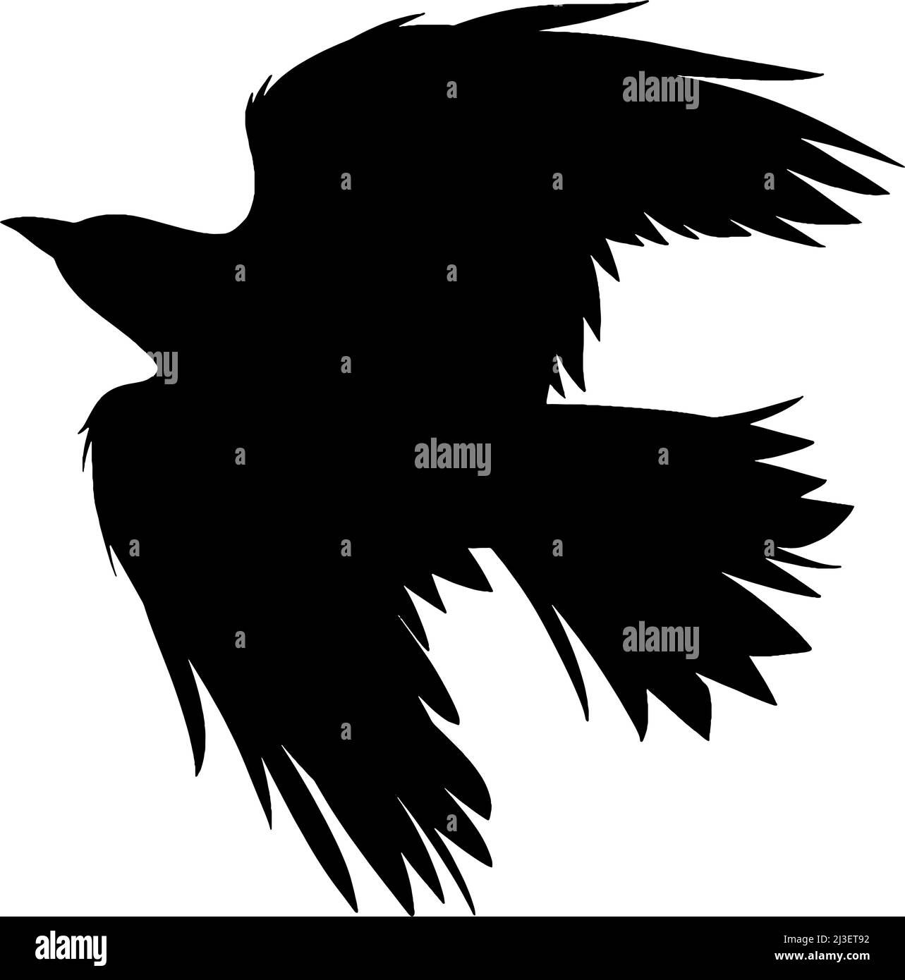 Bird Tattoo png download - 564*564 - Free Transparent Common Raven png  Download. - CleanPNG / KissPNG