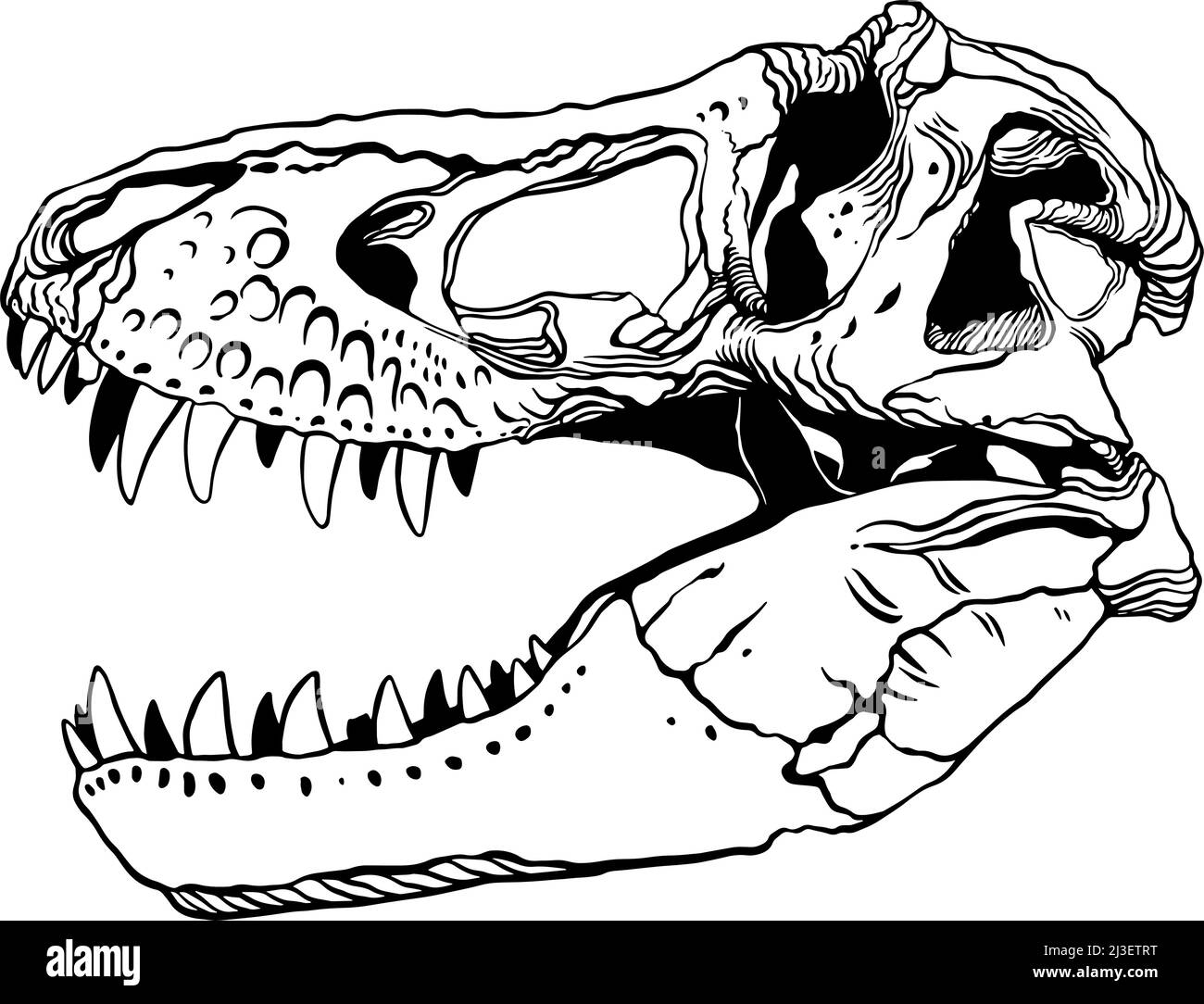 Tyrannosaurus Skull. Vector illustration Stock Vector