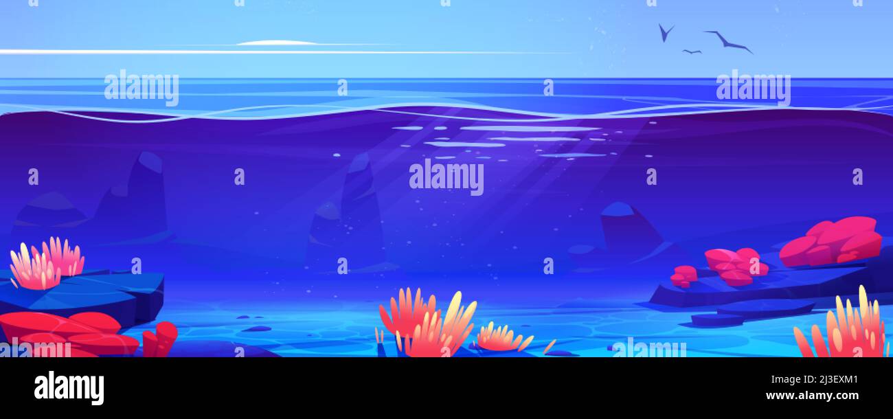 Coral reef ocean or sea underwater background cross view. Bottom with ...