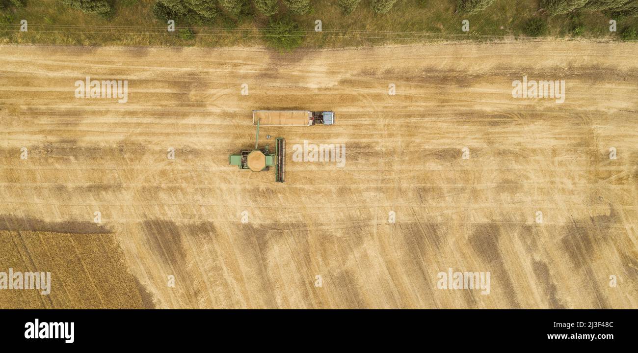 Aerial view combine harvester harvesting on the field Stock Photo - Alamy
