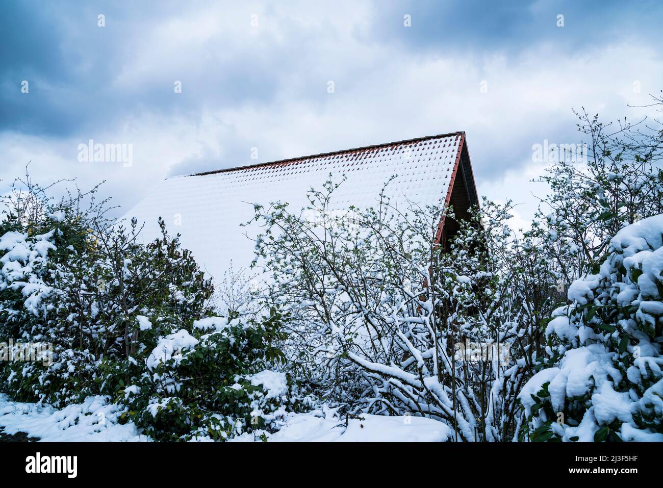 Mystical house with red roof covered by white snow in winter wonderland scene landscape surrounded by plants and trees Stock Photo