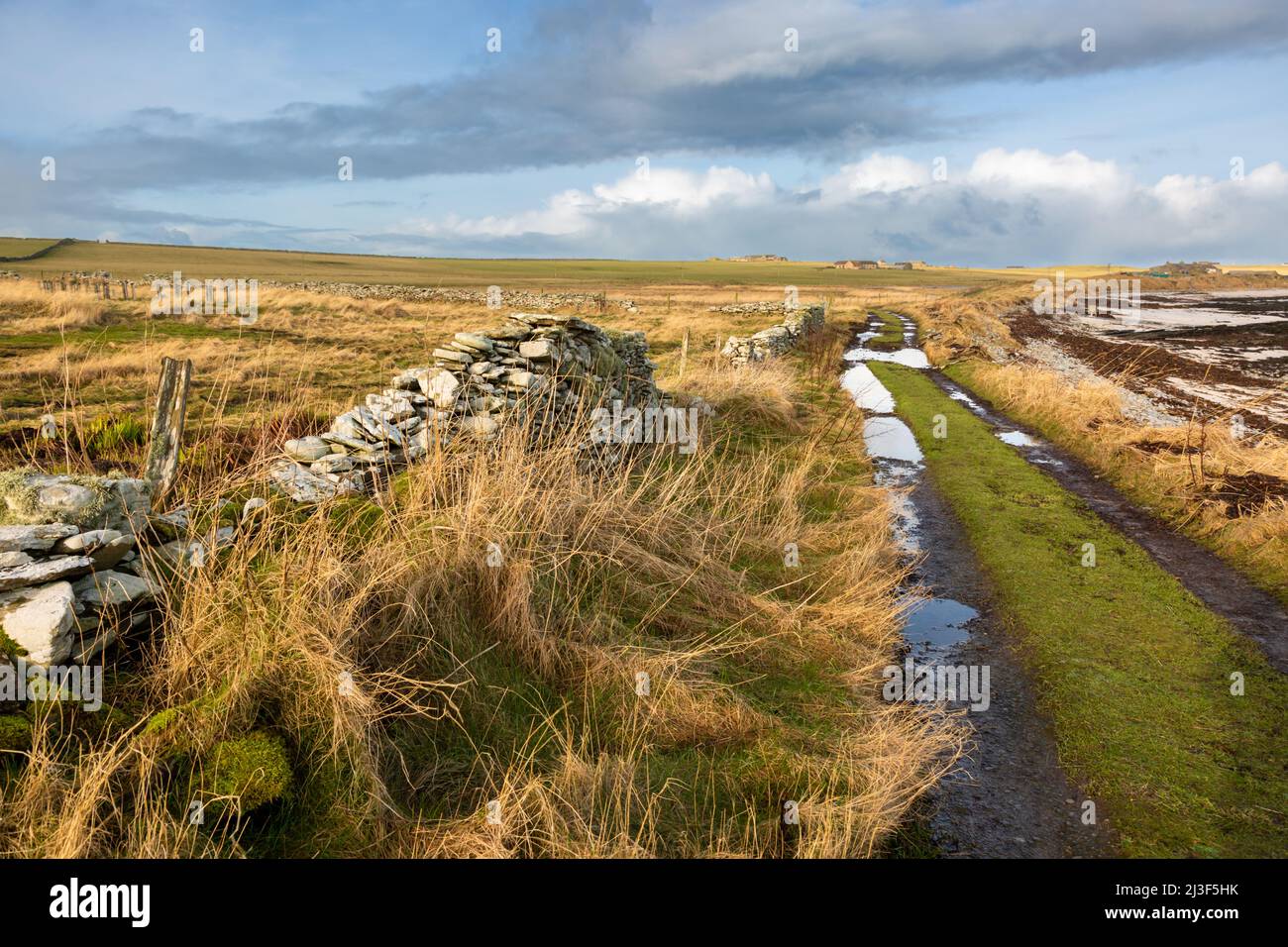 Lonely farm lane in winter, Papa Westray, Orkney Islands, UK Stock Photo