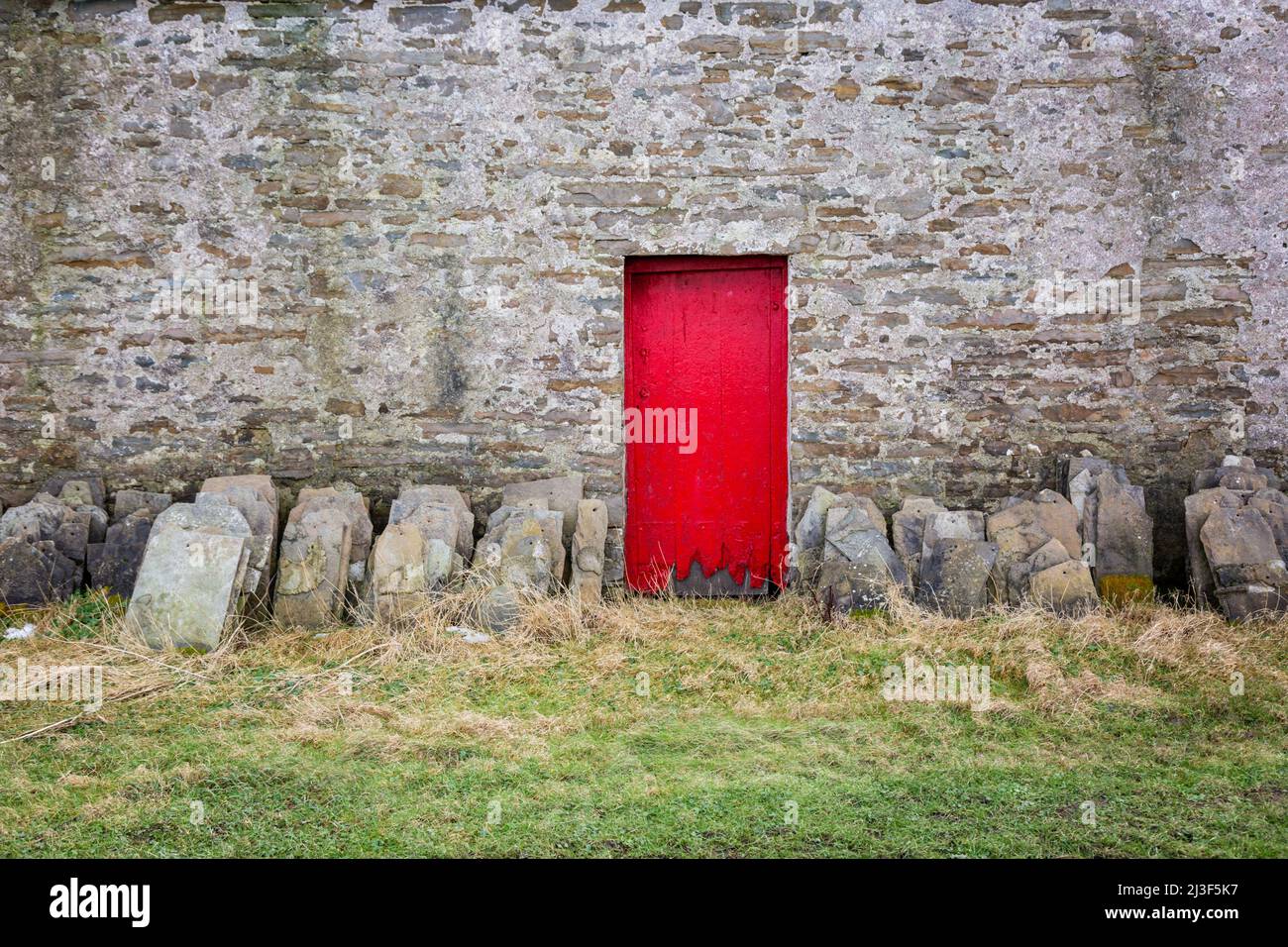 Farmhouse door painted red, Papa Westray, Orkney, UK Stock Photo
