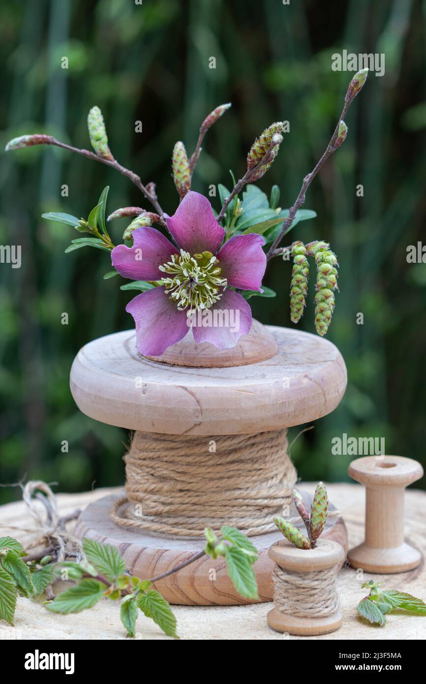 bouquet of helleborus orientalis flower and branches in yarn dispenser Stock Photo
