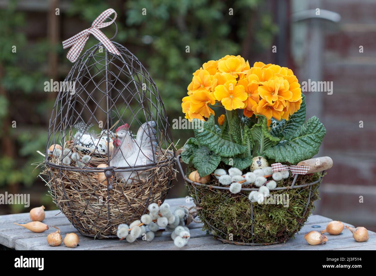 orange primrose in basket and easter nest in garden Stock Photo