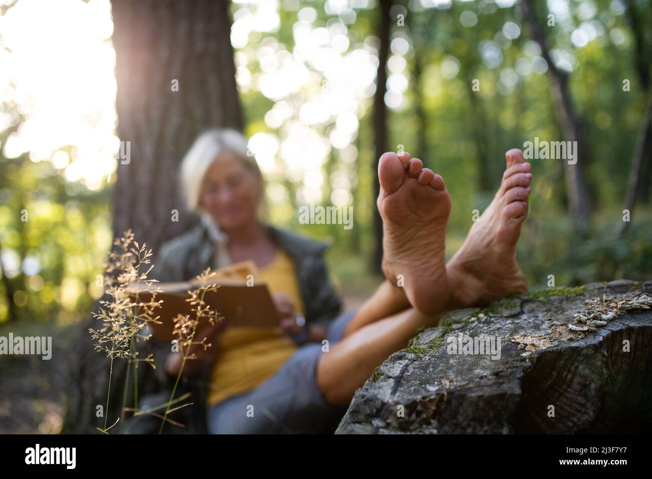 Senior woman relaxing and reading book outdoors in forest Stock Photo ...