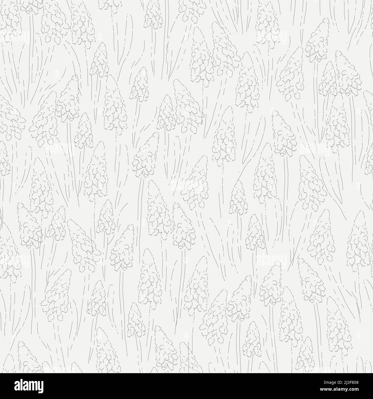 Grape Hyacinth flower hand drawn sketch vector seamless pattern. Abstract  sketchy freehand bloom monochromatic background for fashion fabric print,  home textile, Easter scrapbook, card making Stock Vector Image & Art - Alamy