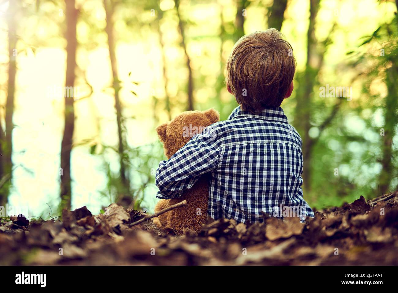 Teddy is always by my side. Shot of a little boy sitting in the forest with his teddy bear. Stock Photo