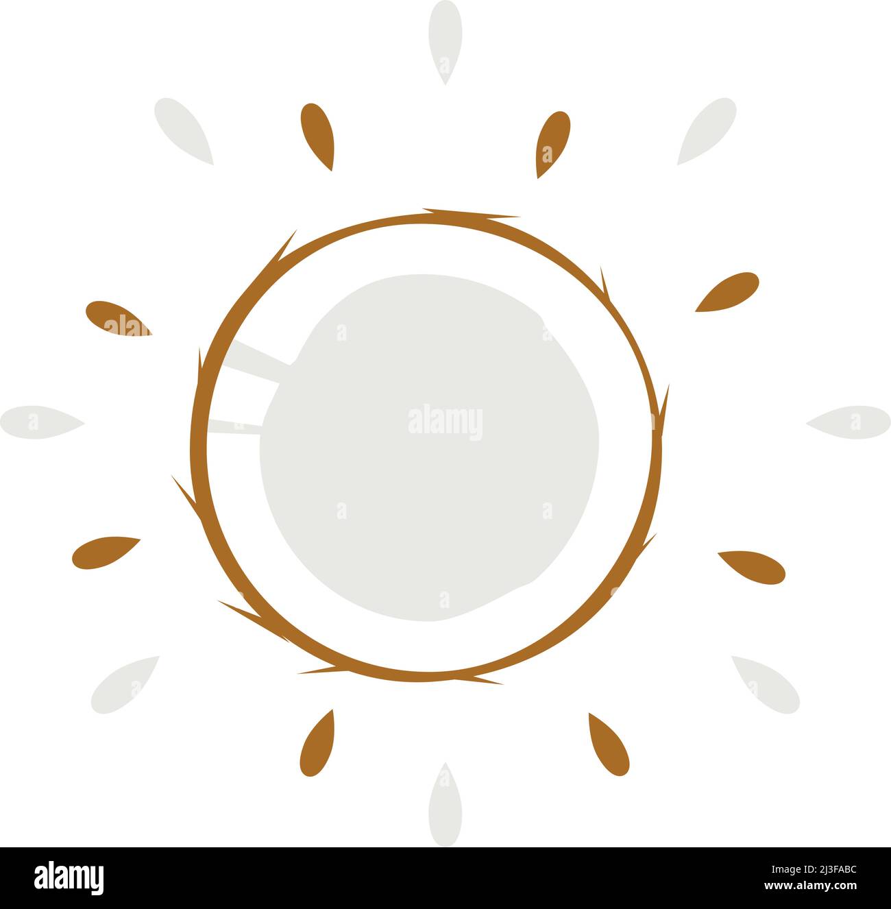 Abstract juicy coconut icon with splash on white background - Vector ...