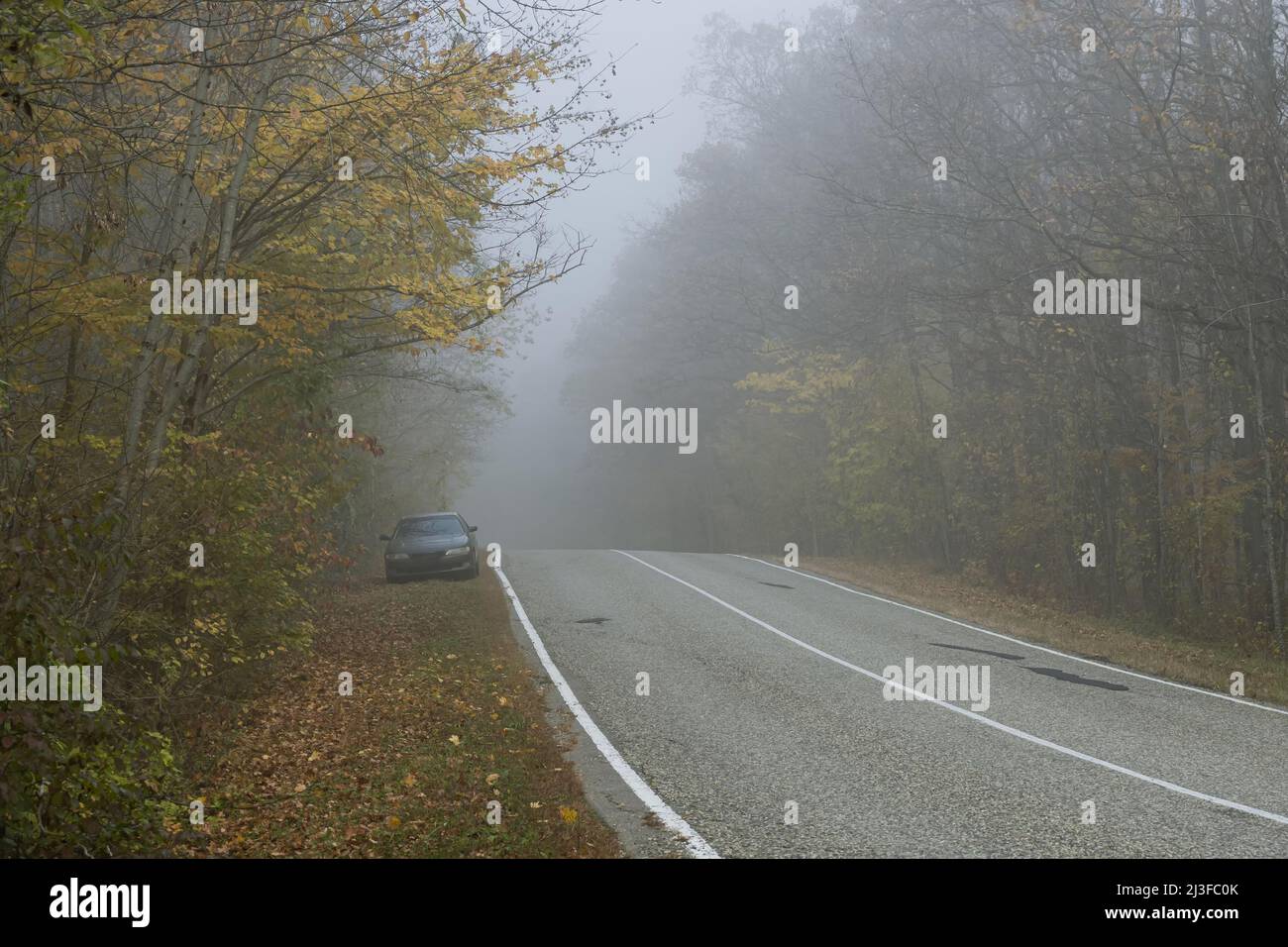 A foggy morning on a country road in an autumn forest. The asphalt road with white markings goes down. A black car stands on the side of the road. Tra Stock Photo