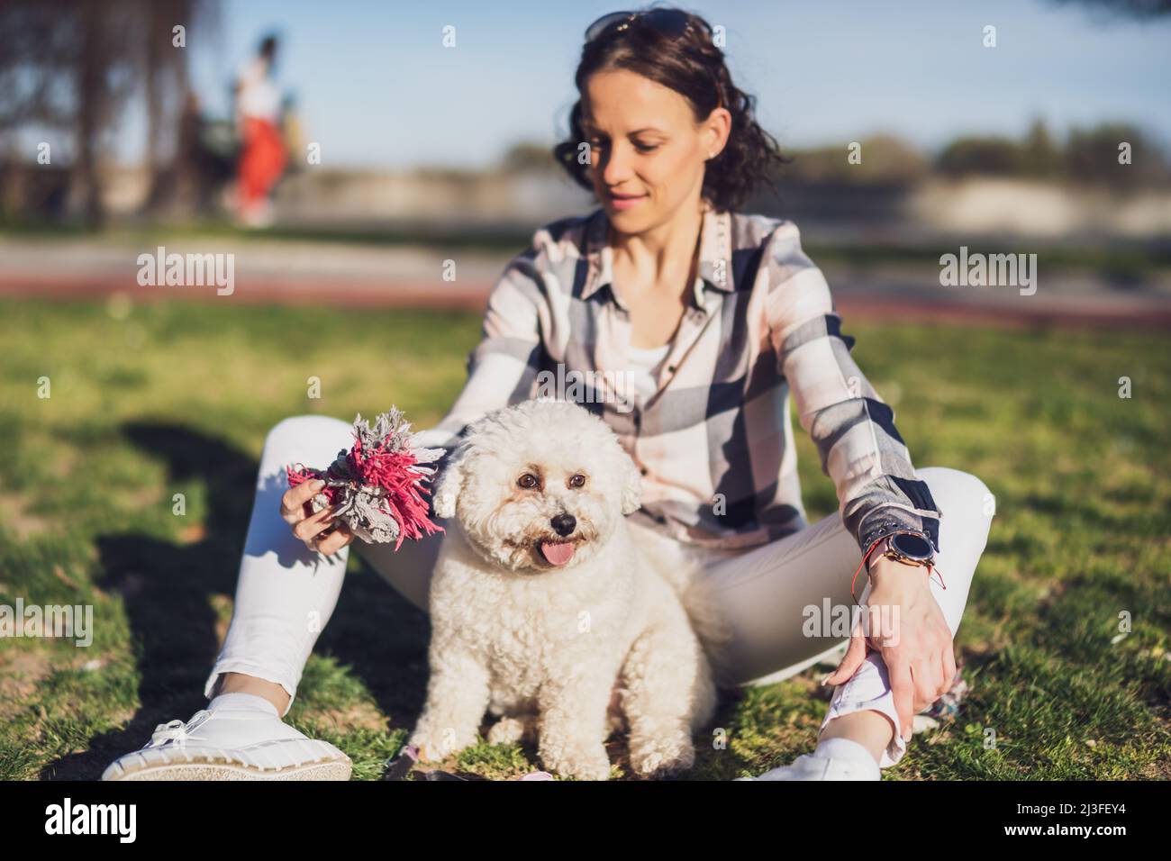Happy woman is playing with her white bichon frise dog on sunny day in park. Stock Photo