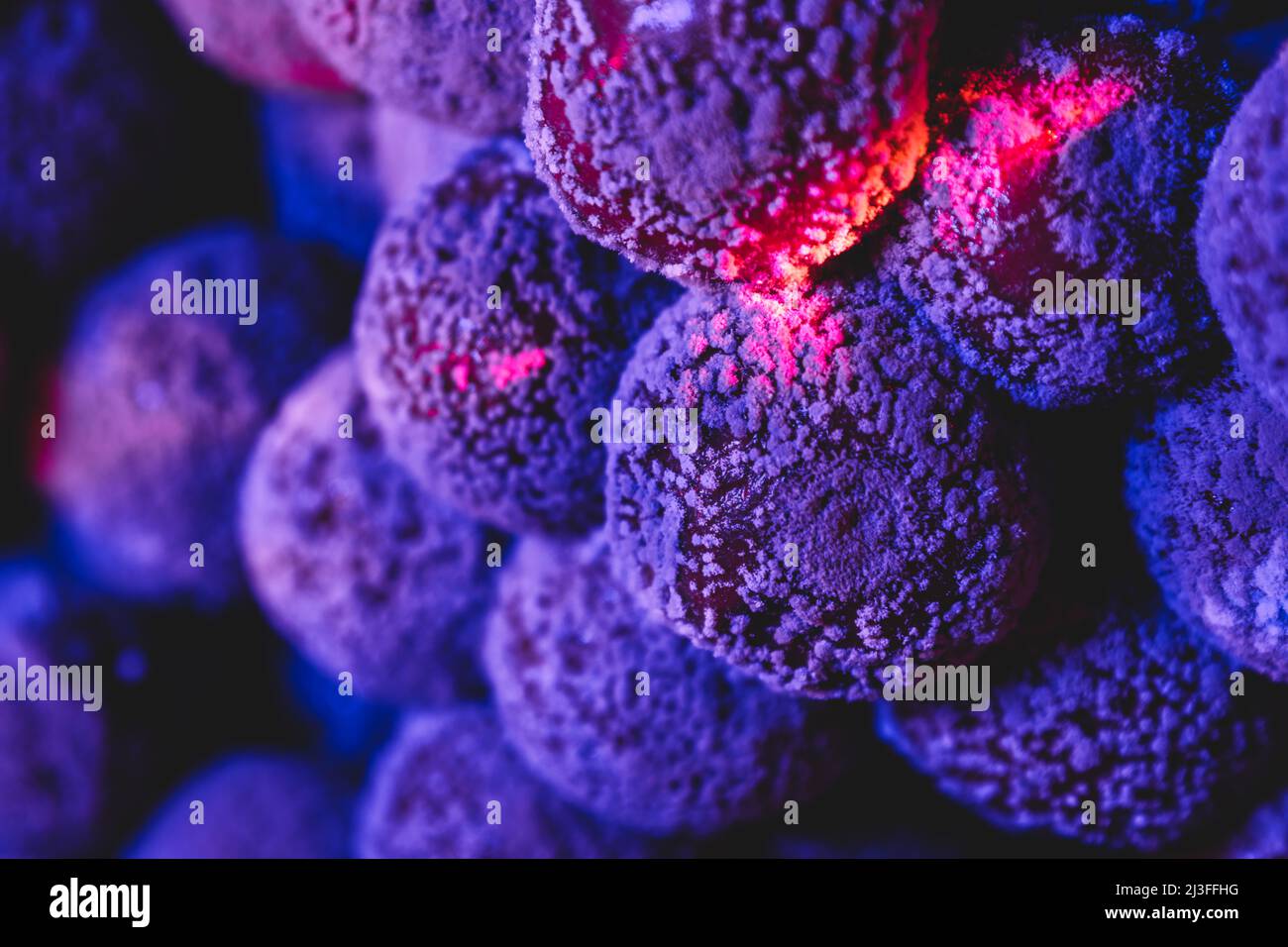 Mold cherry macro in purple light Stock Photo