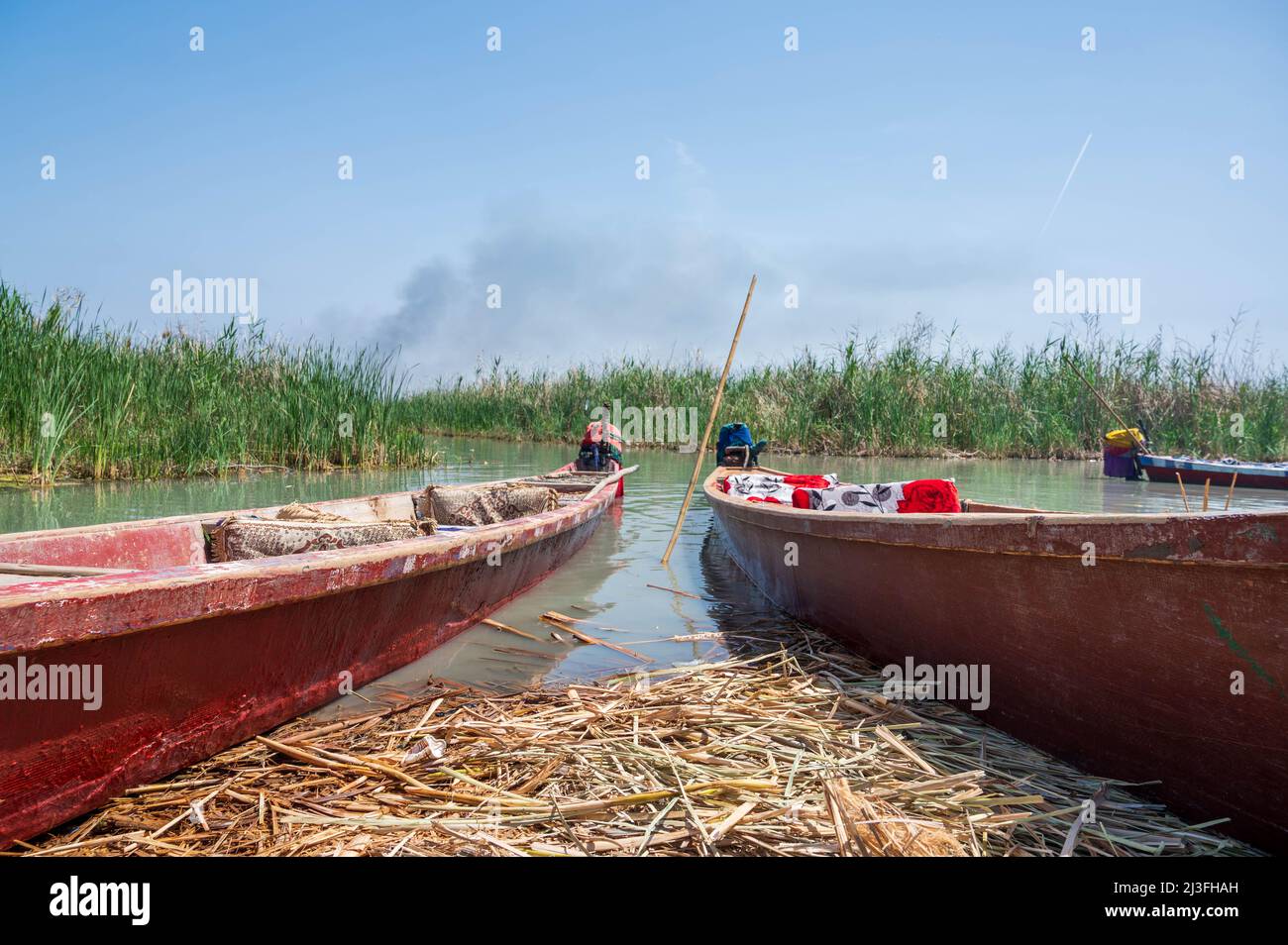 Boats parked in the marshes Stock Photo