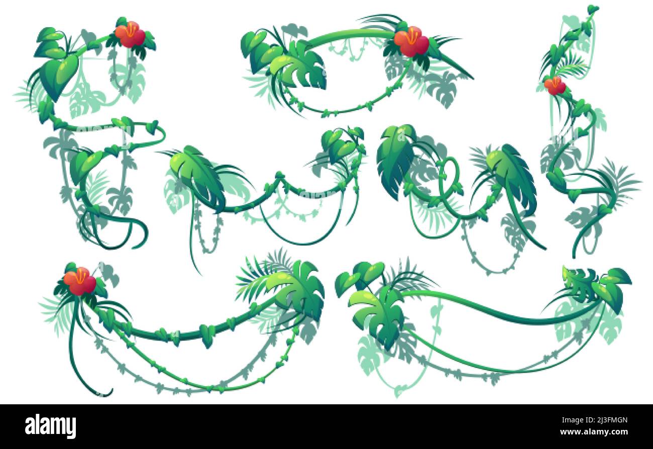 Jungle creeper plants, lianas with green leaves and red flowers. Vector ...