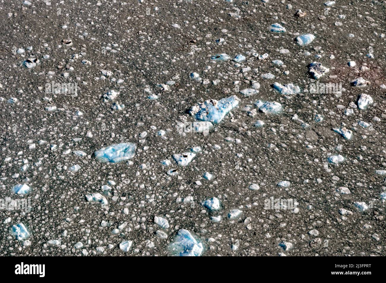 Aerial image of the field of icebergs calving from glaciers in Prince William Sound. Seals can be seen resting on the ice below. Kenai Peninsula, Alas Stock Photo