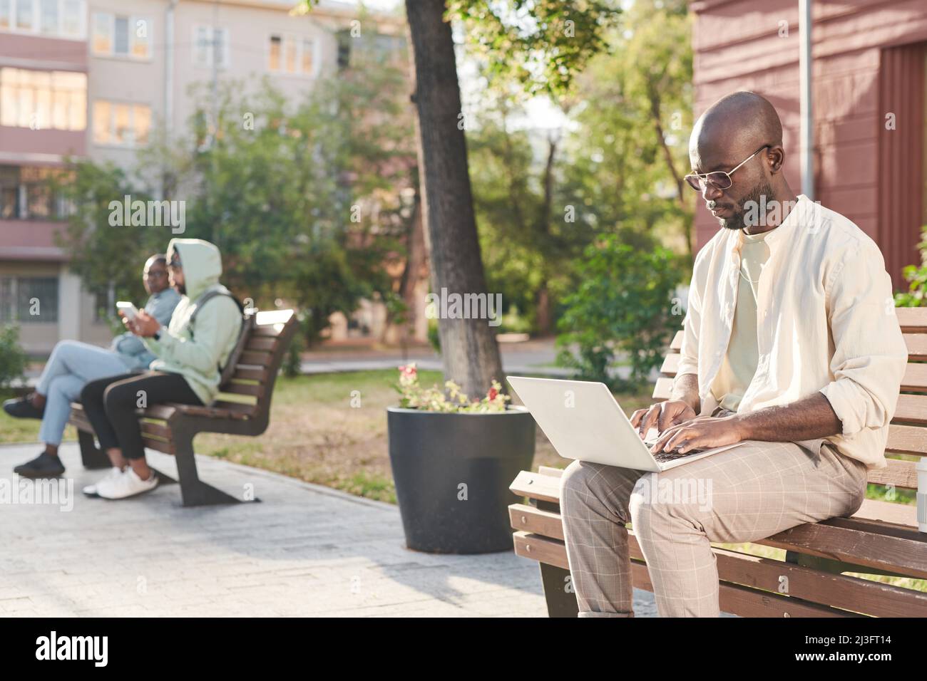 Concentrated young Black man in eyeglasses sitting on bench and working with laptop outdoors Stock Photo