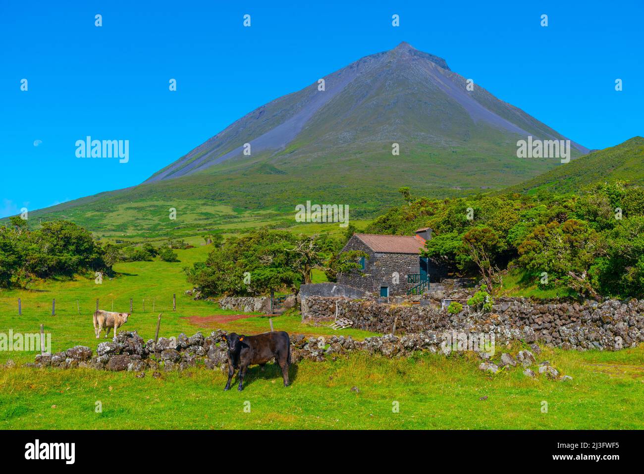 Landscape of Pico island dominated by Pico mountain, Azores, Portugal