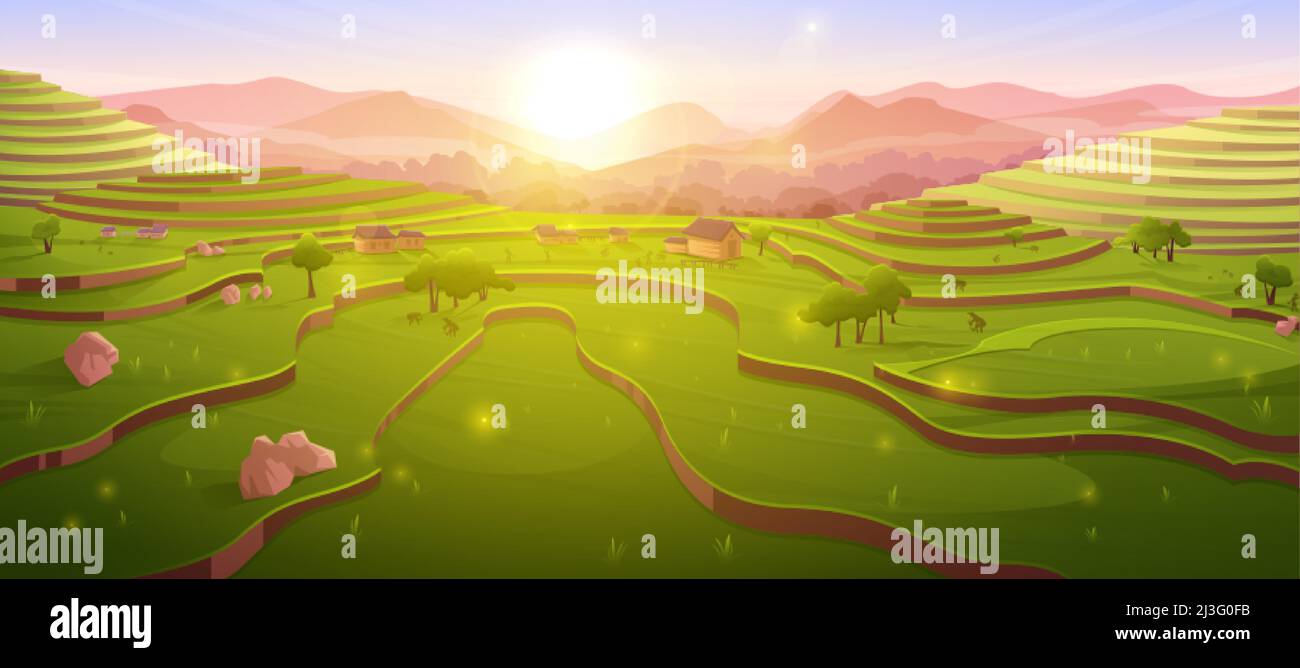 Terraced rice fields at sunrise, sunny morning chinese farmland at