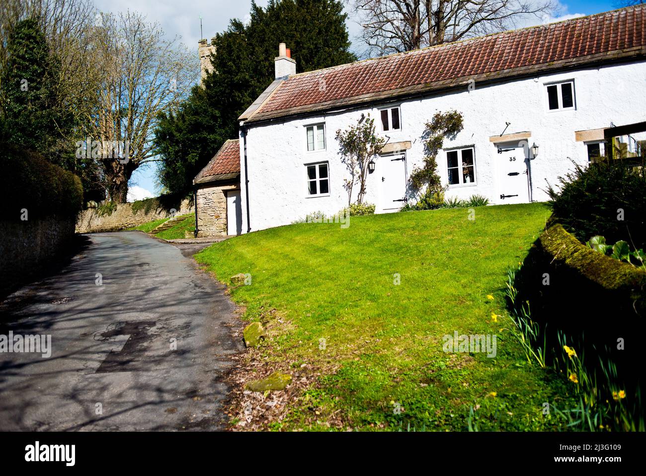 Whitewashed cottages, Melsonby, North Yorkshire, England Stock Photo