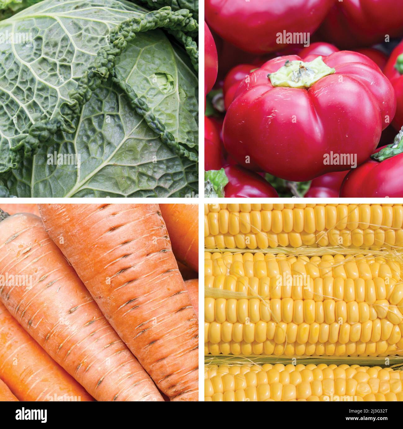 Collage of colorful vegeable plant food: red, green, yellow, orange Stock Photo