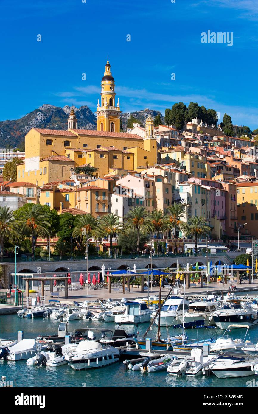 The harbour of Menton, with the basilica of Saint-Michel-Archange beyond, French Riviera, France Stock Photo