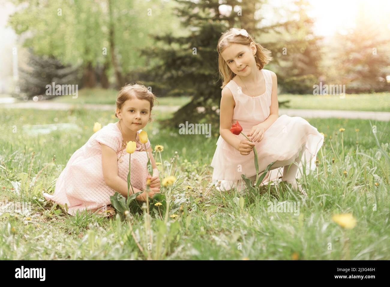 two little sisters sitting on the lawn in the city park Stock Photo - Alamy
