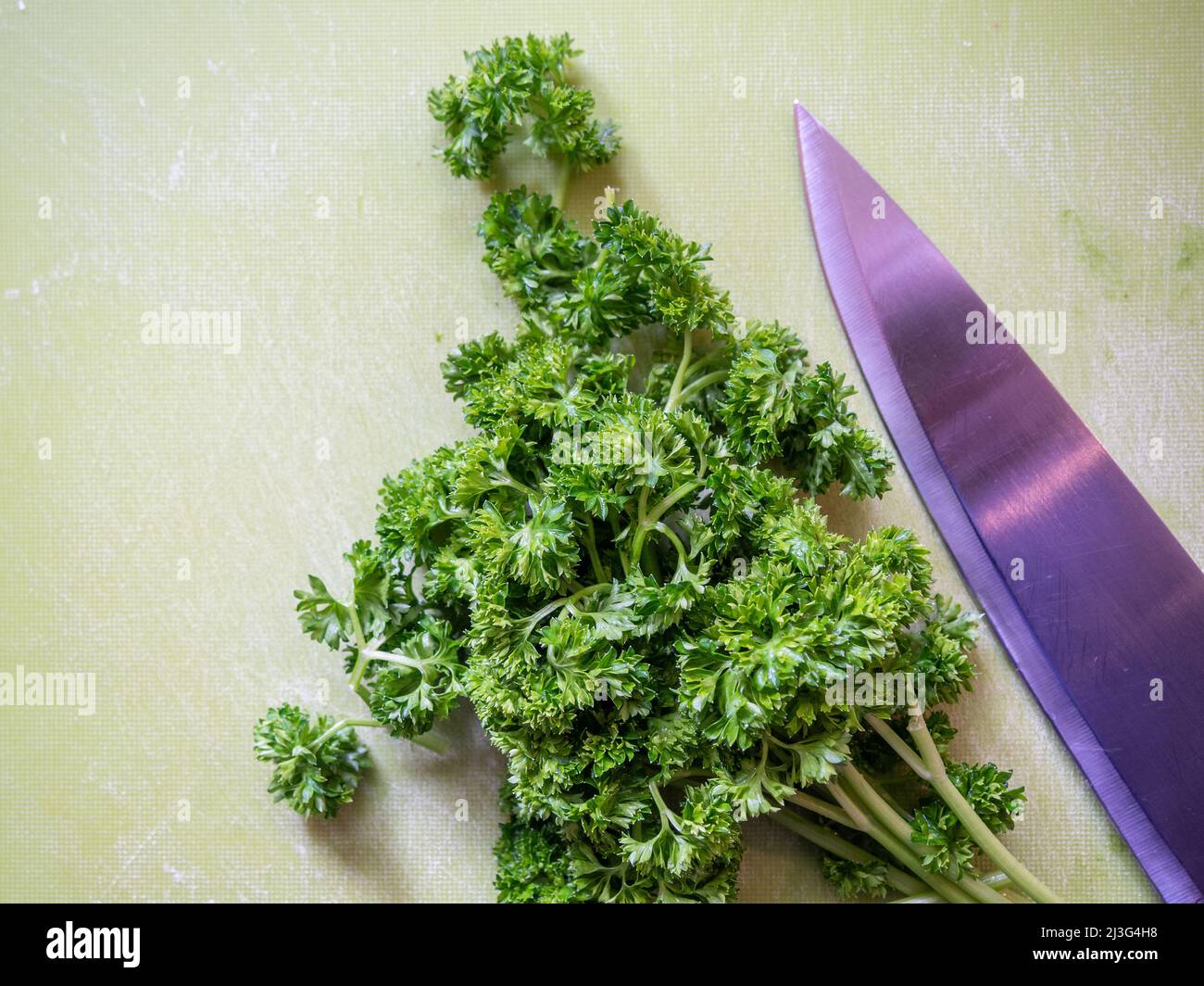 Fresh green curled parsley on a chopping board with knife Stock Photo