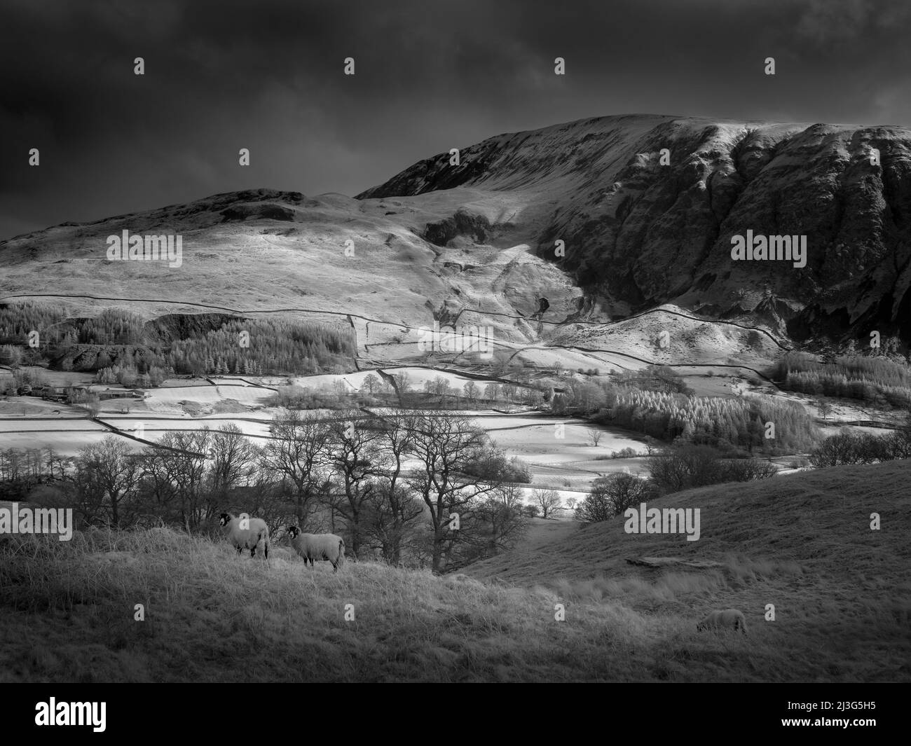 An infrared image of St John’s in the Vale and Clough Head from Low Rigg in the English Lake District National Park, Cumbria, England. Stock Photo
