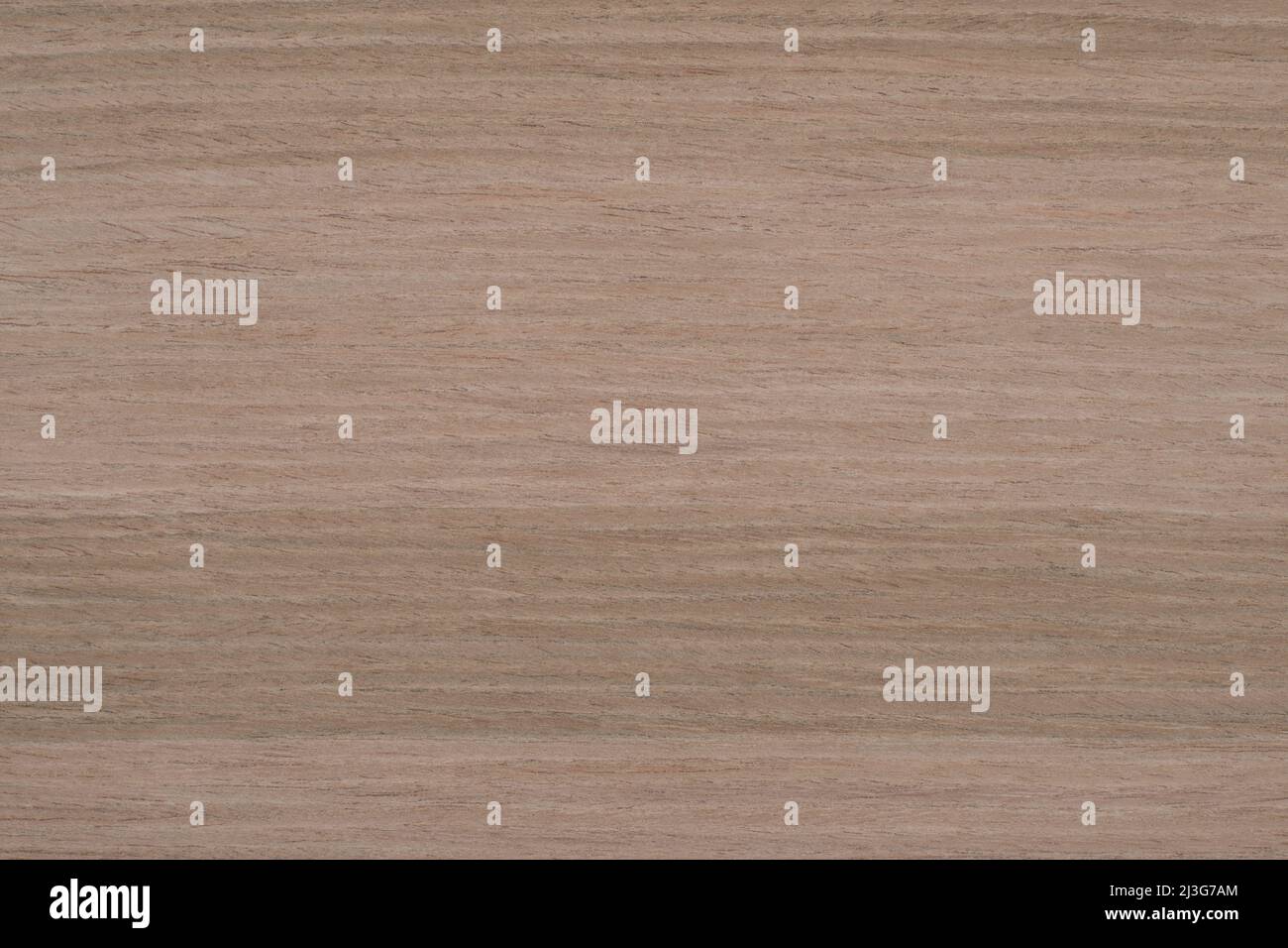 Walnut 2 wood panel texture pattern Stock Photo
