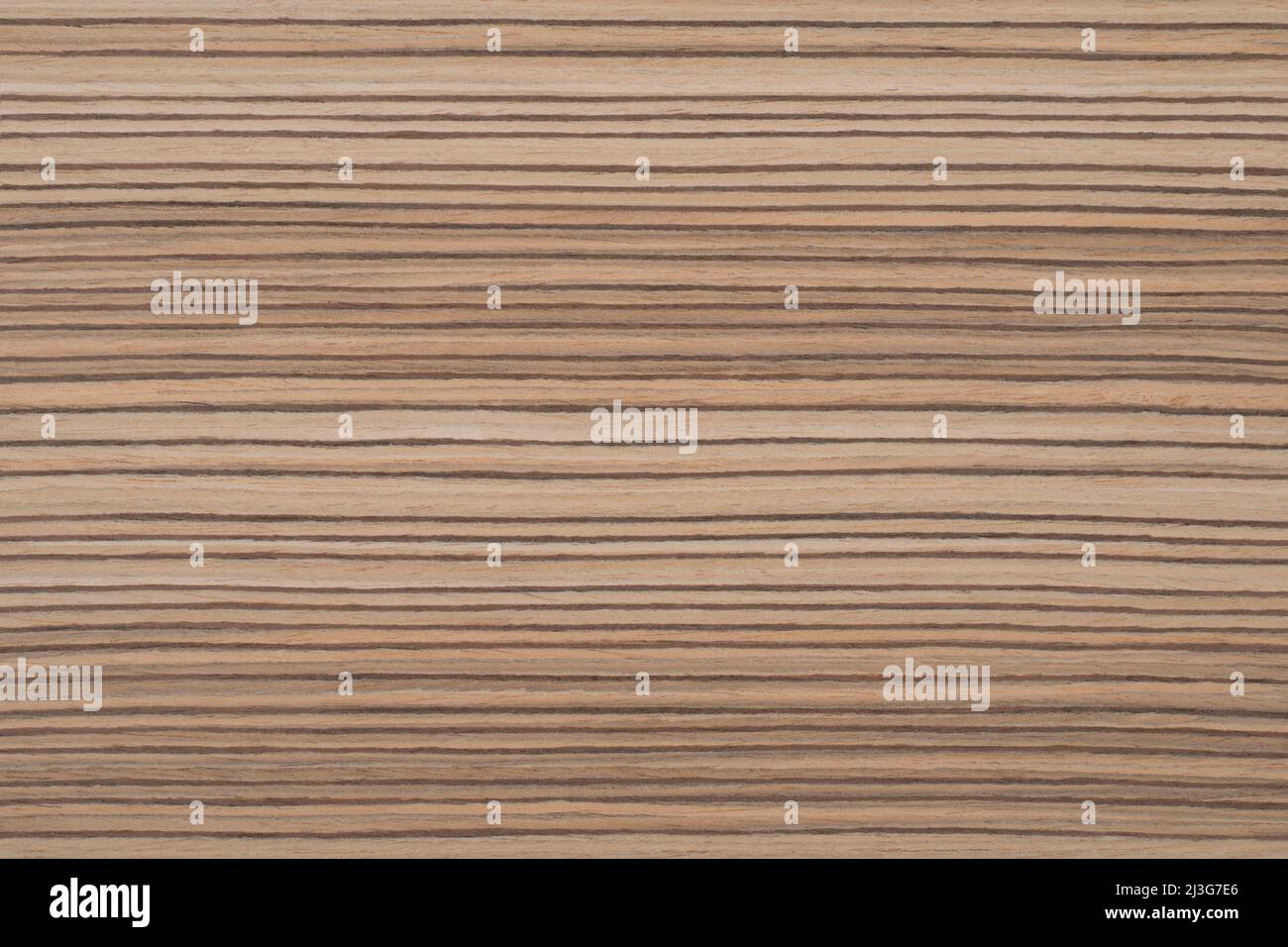 Zebrano 6 Exotic wood panel texture pattern Stock Photo