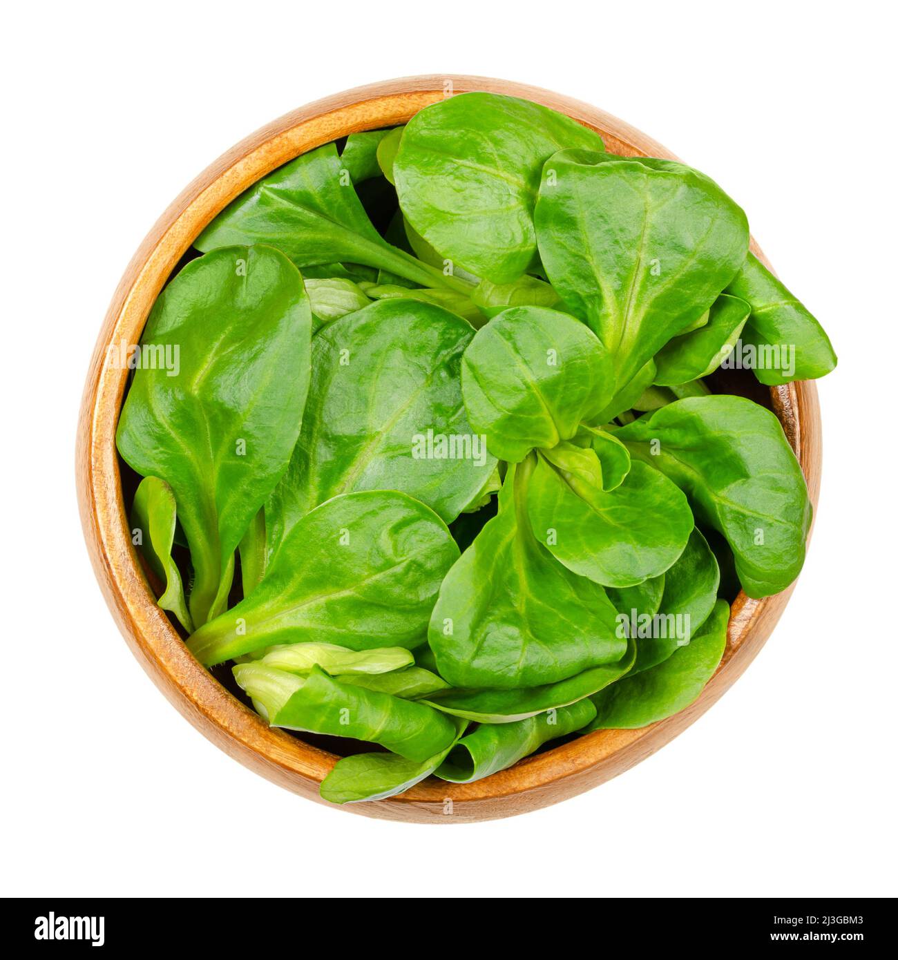Fresh lambs lettuce, in a wooden bowl. Valerianella locusta, also known as common cornsalad, nut lettuce or field salad. Grows as small rosettes. Stock Photo