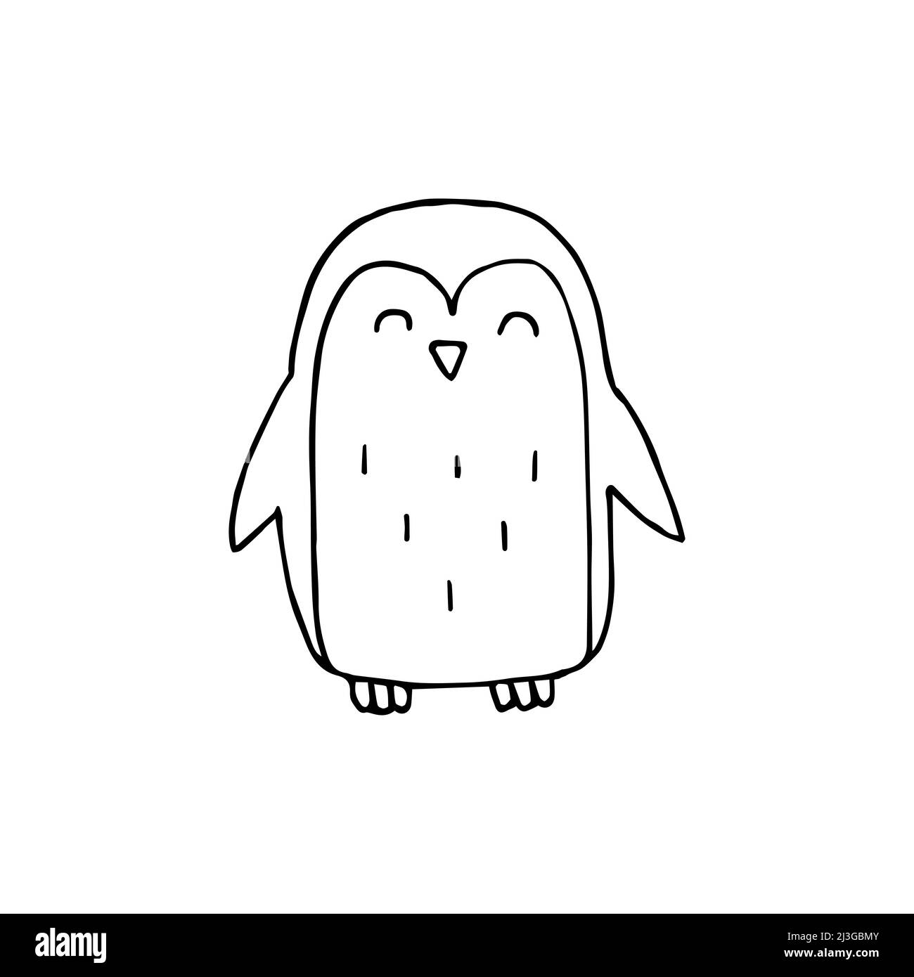 Vector black outline hand drawn doodle penguin isolated on white ...