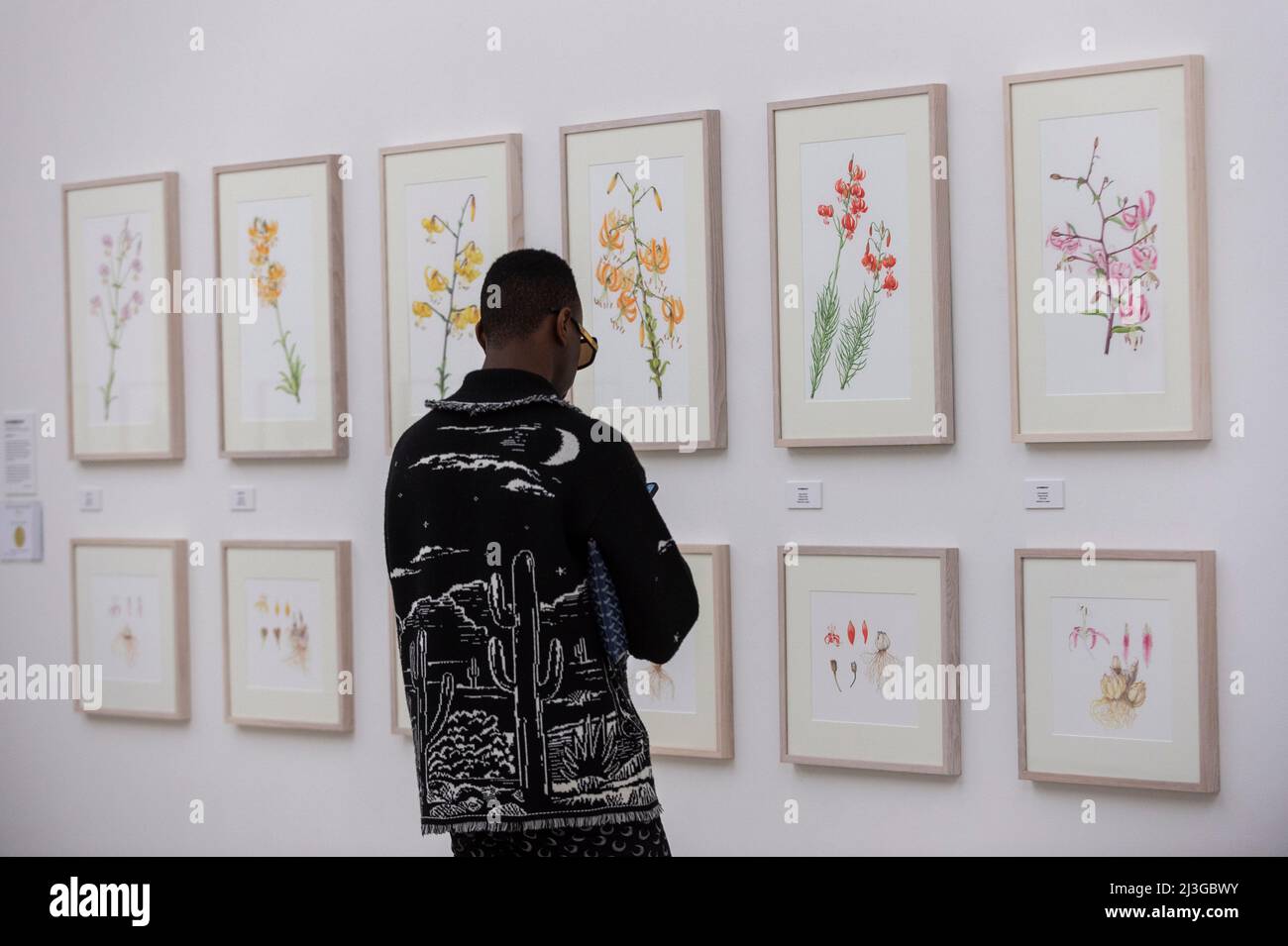 2022 rhs botanical art show hires stock photography and images Alamy