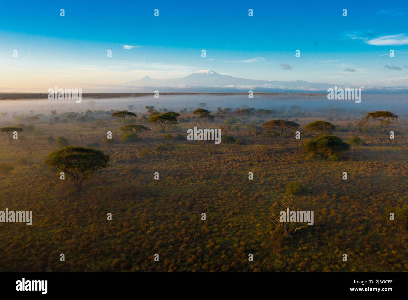 Aerial view of savannah grassland with acacia trees and mist with Mt. Kilimanjaro in distance, blue skies Stock Photo
